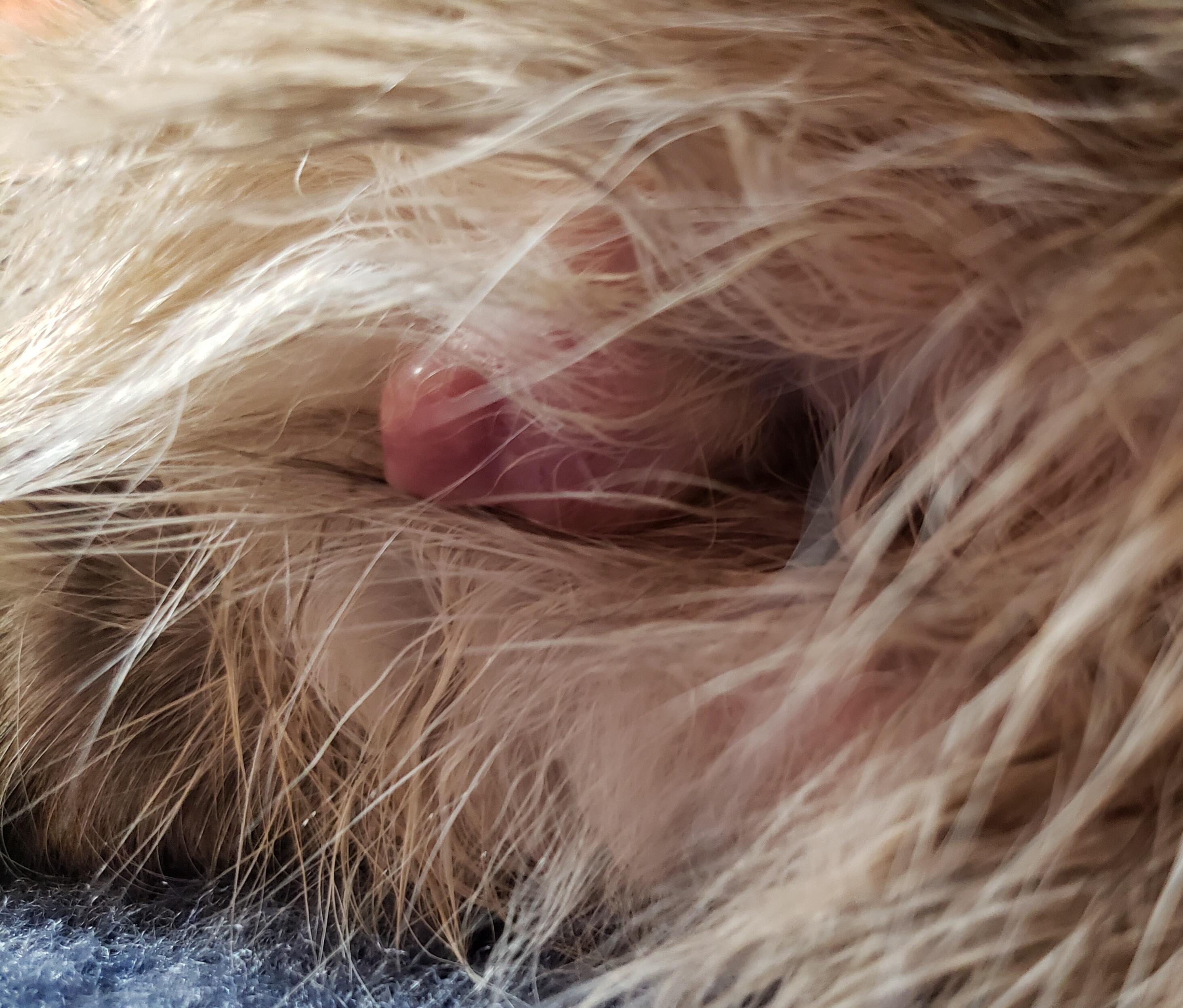 Question details sensitive content