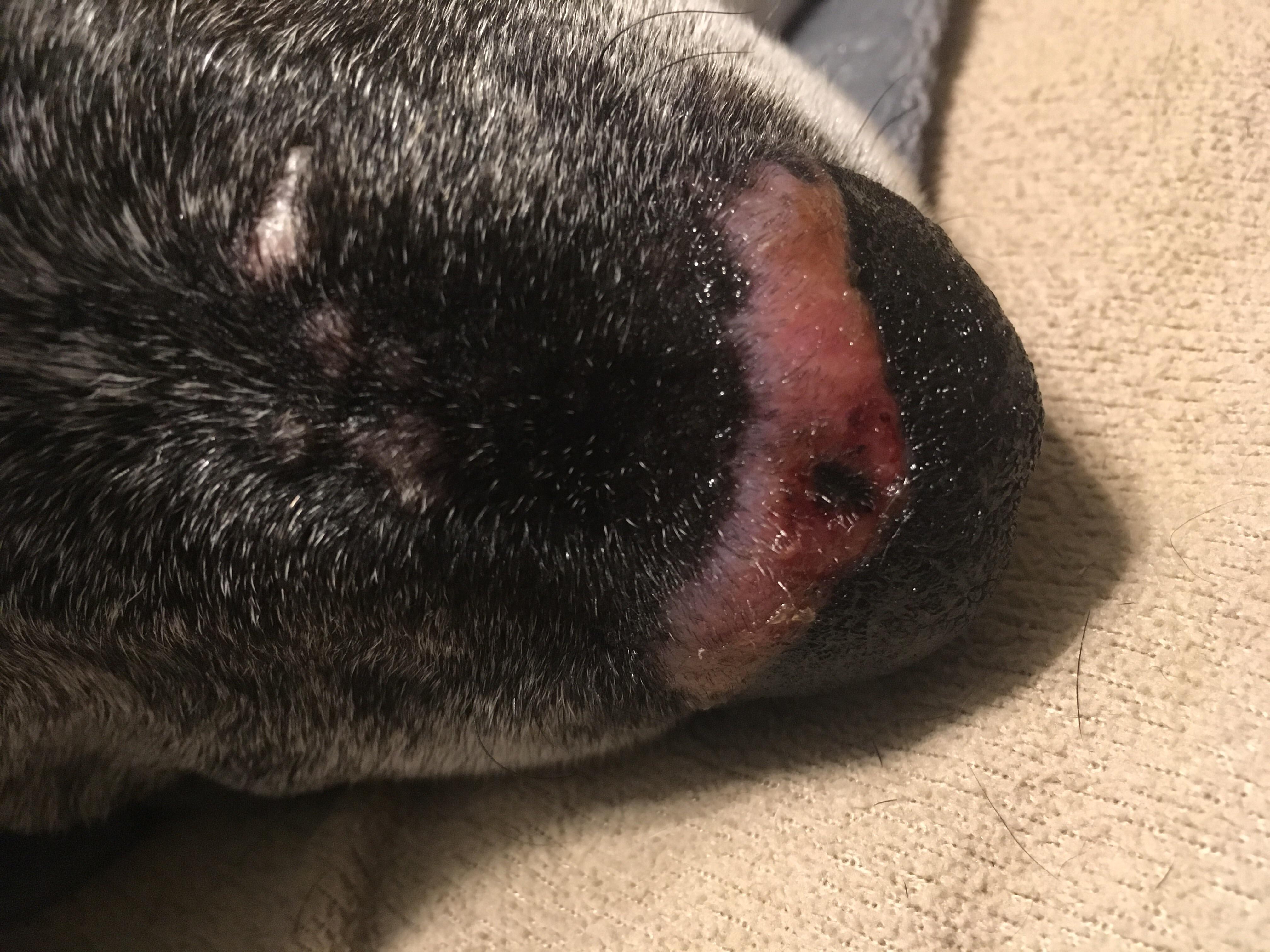 Question details sensitive content