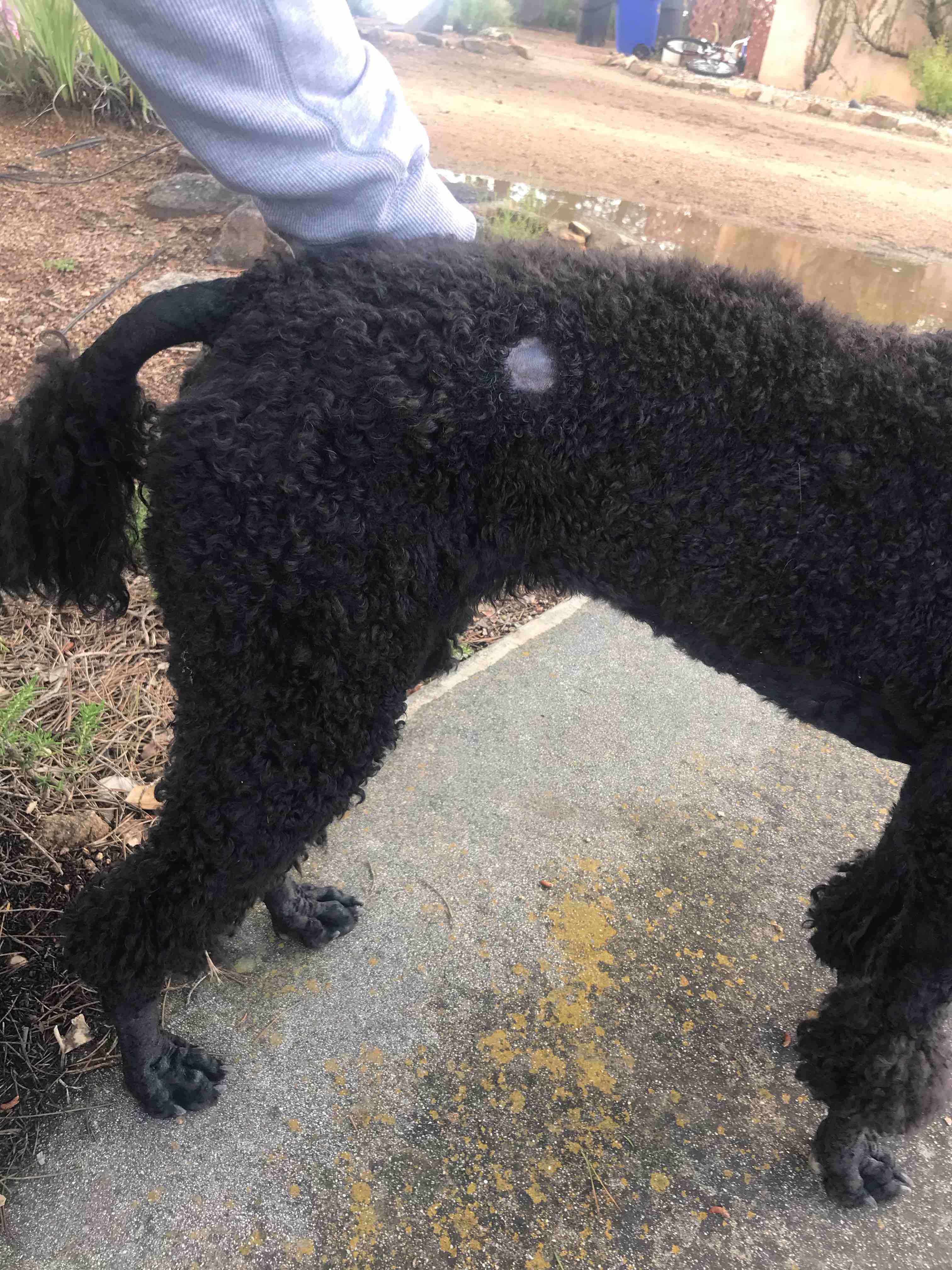 Question details sensitive content