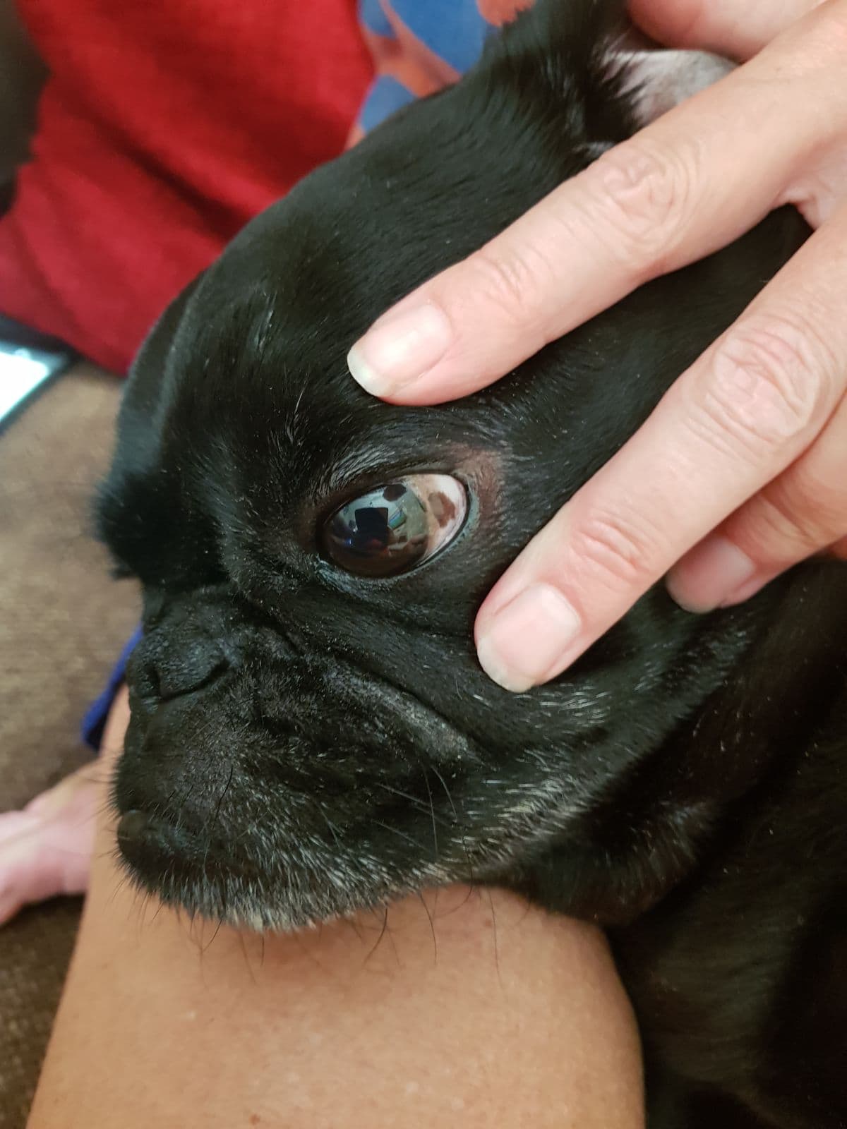 Question details sensitive content