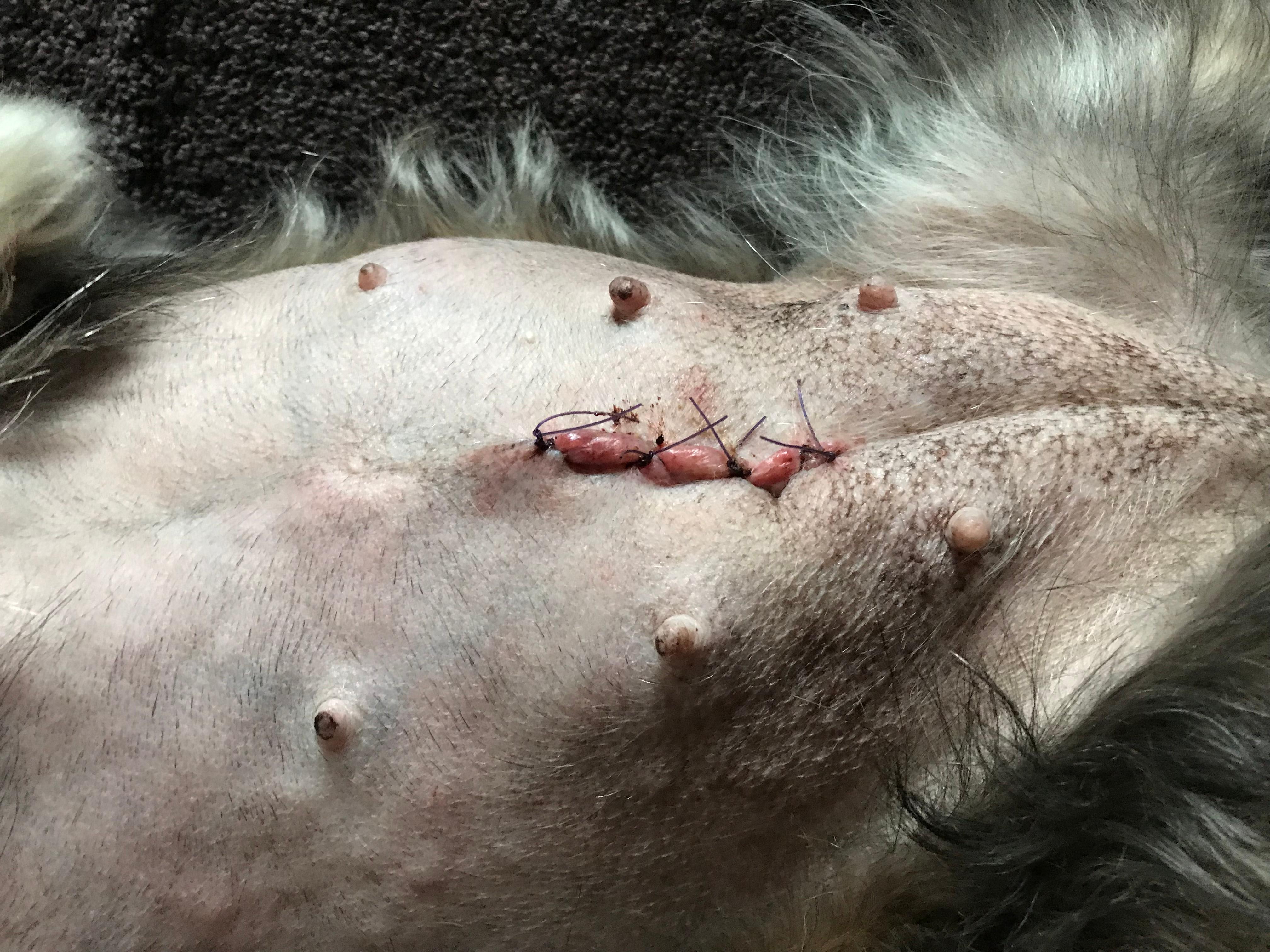 Question details sensitive content