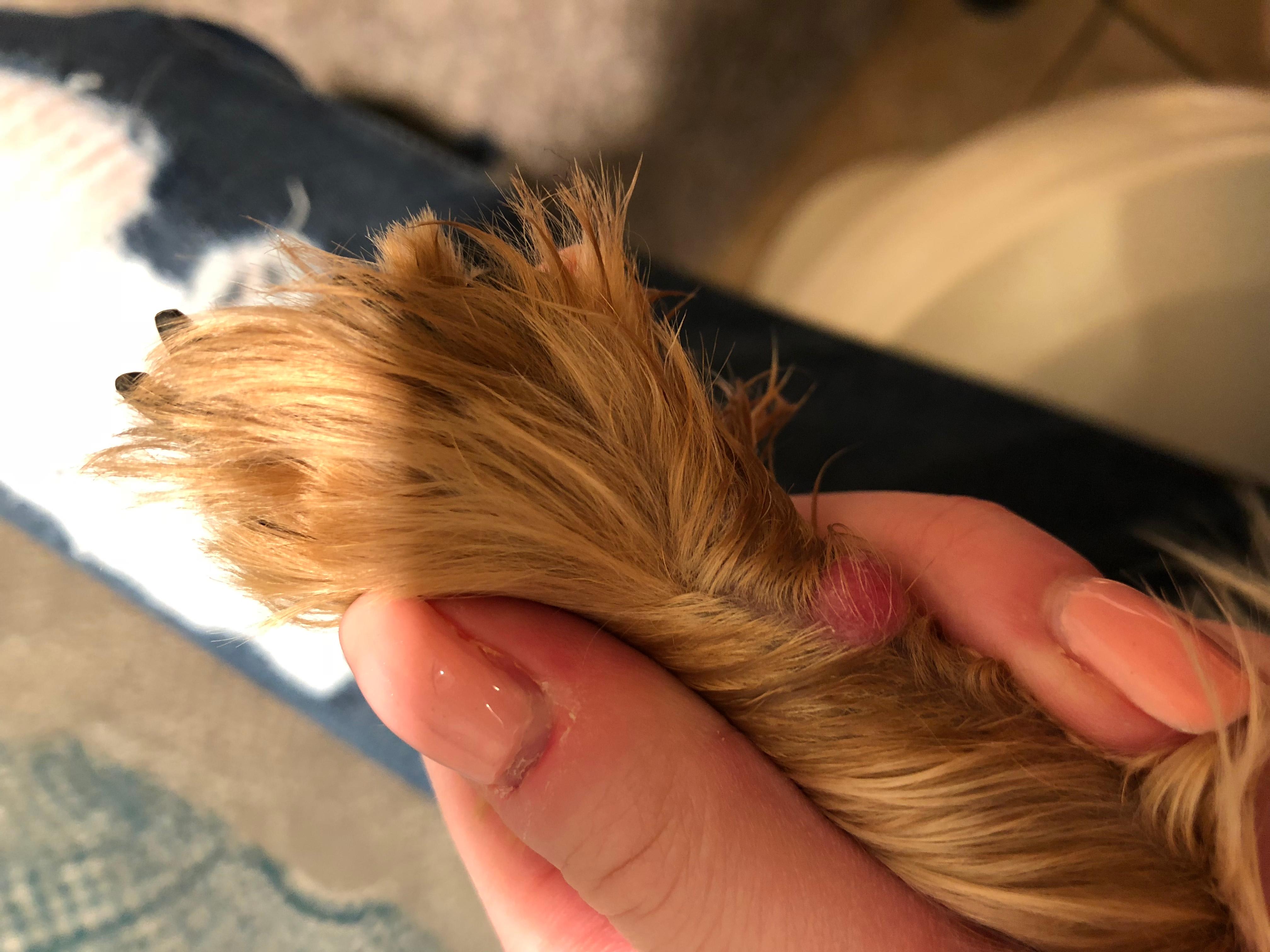 Question details sensitive content