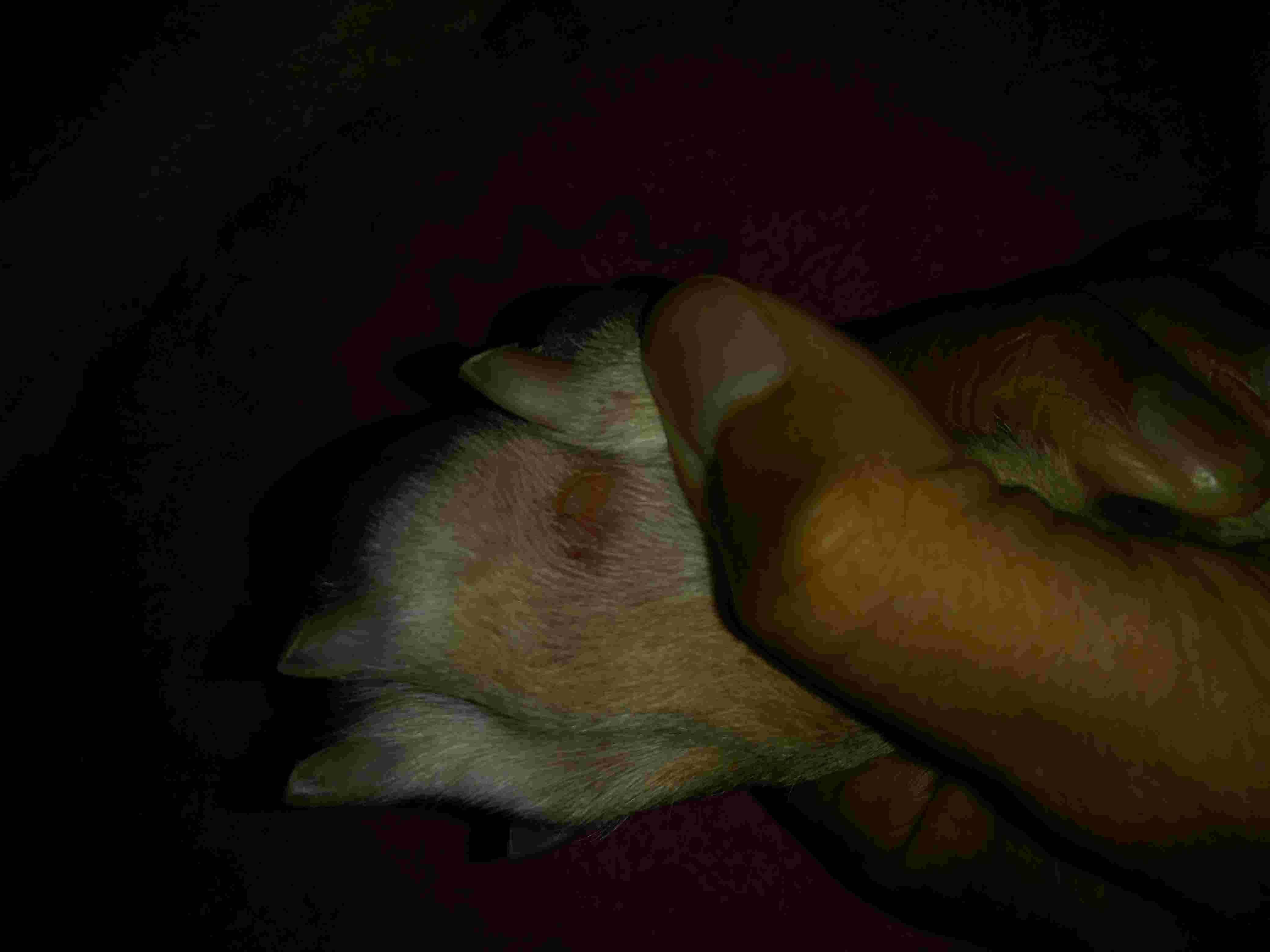 Question details sensitive content