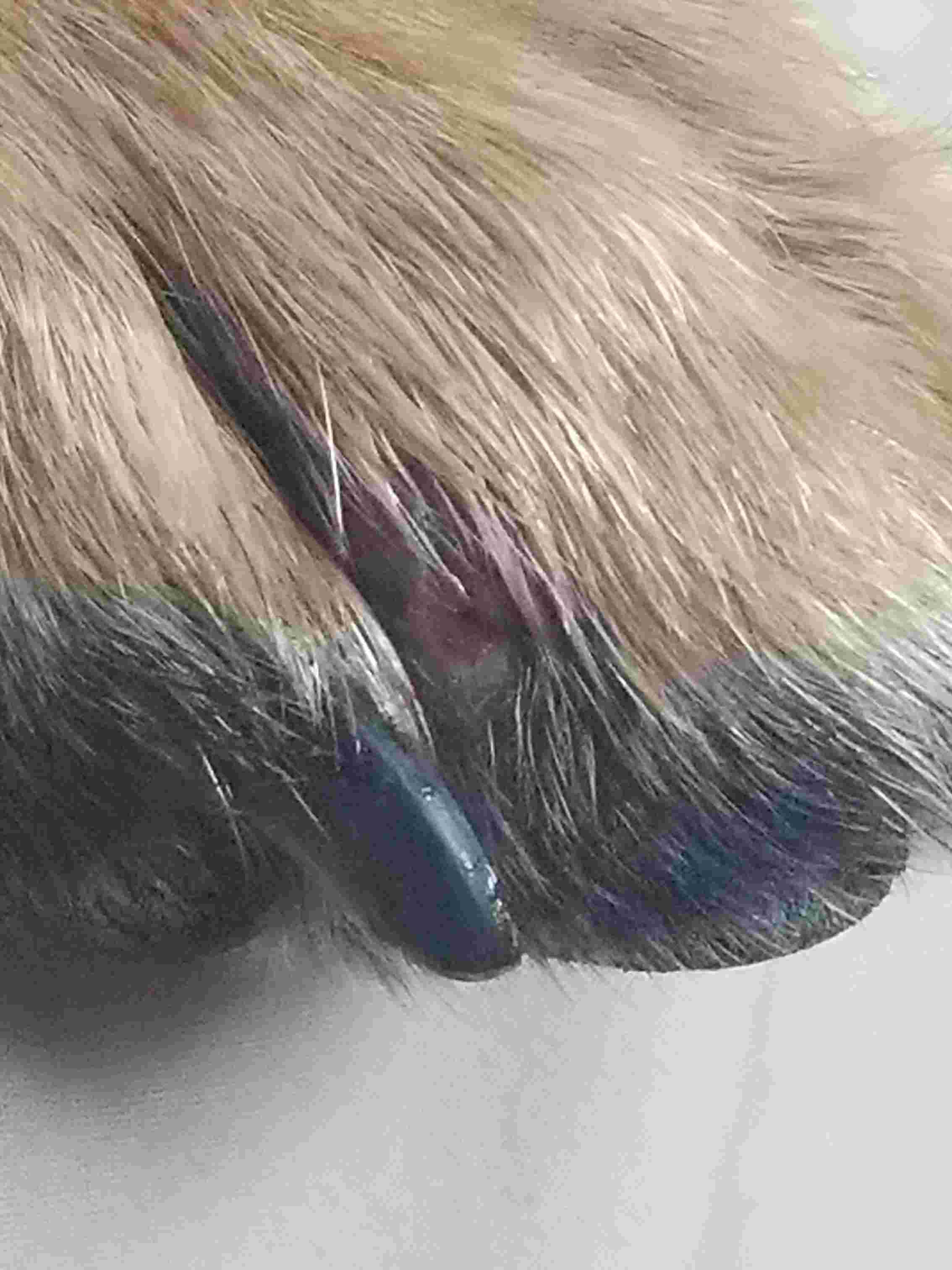 Question details sensitive content