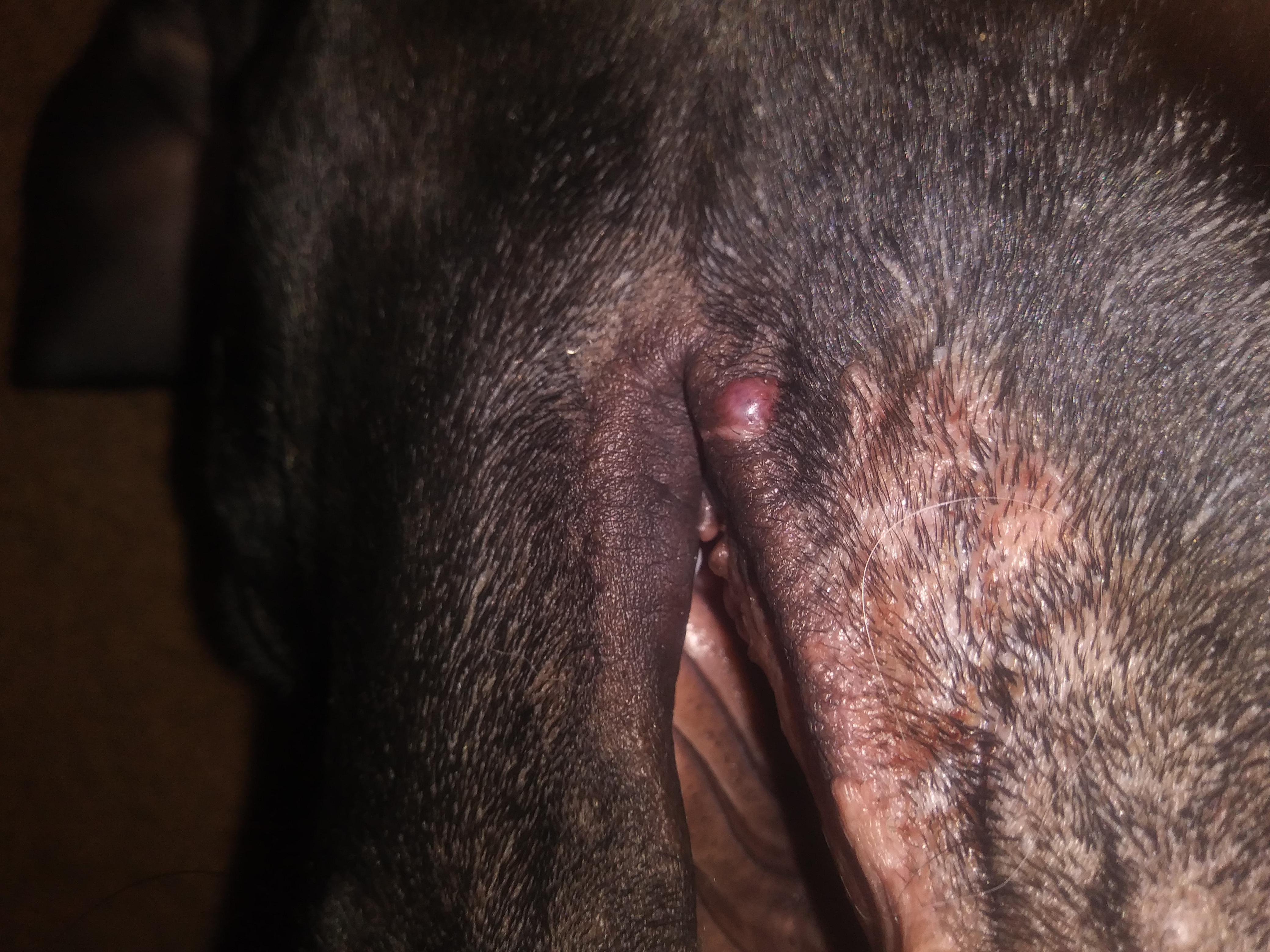 Question details sensitive content