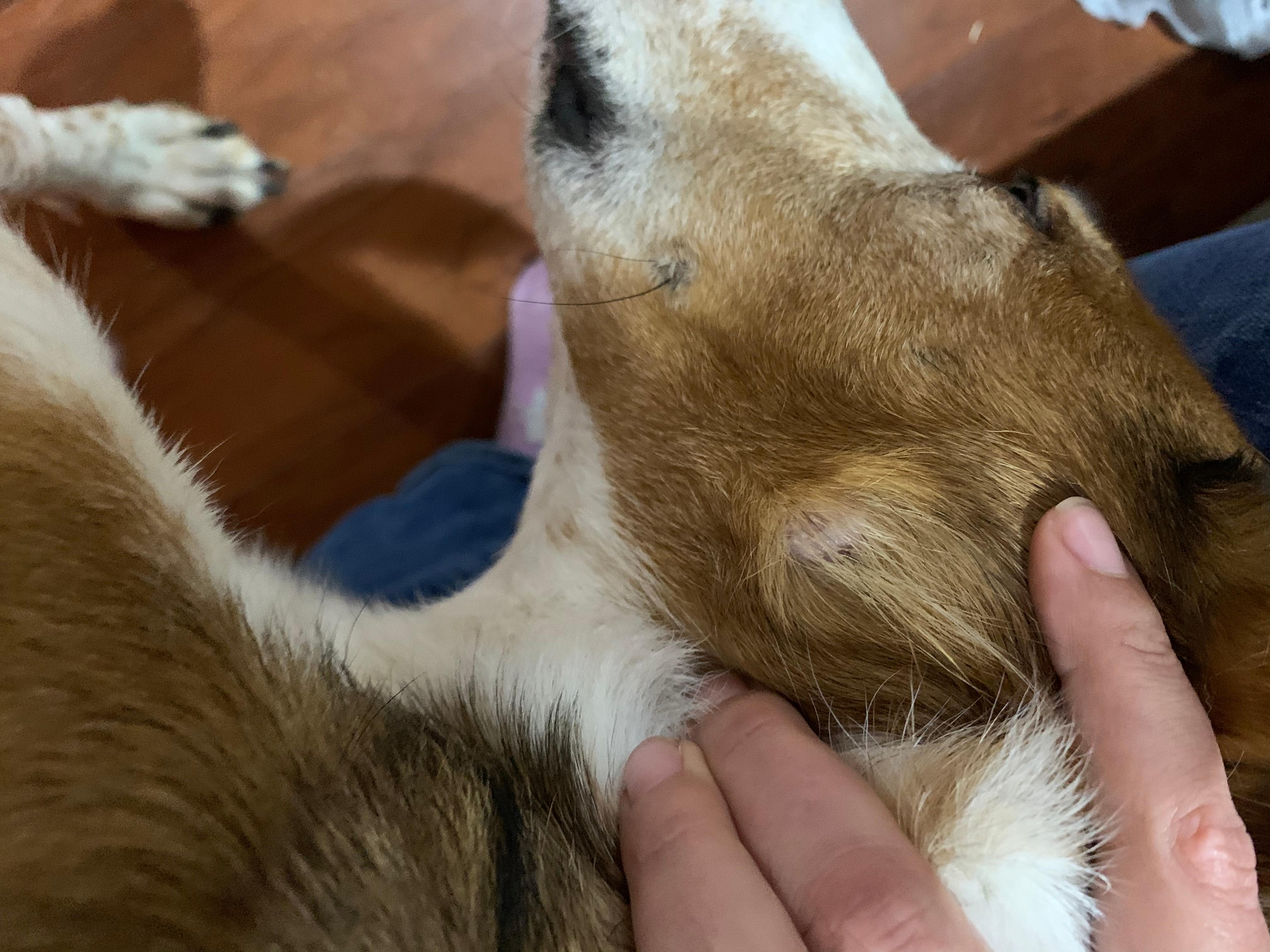 Question details sensitive content