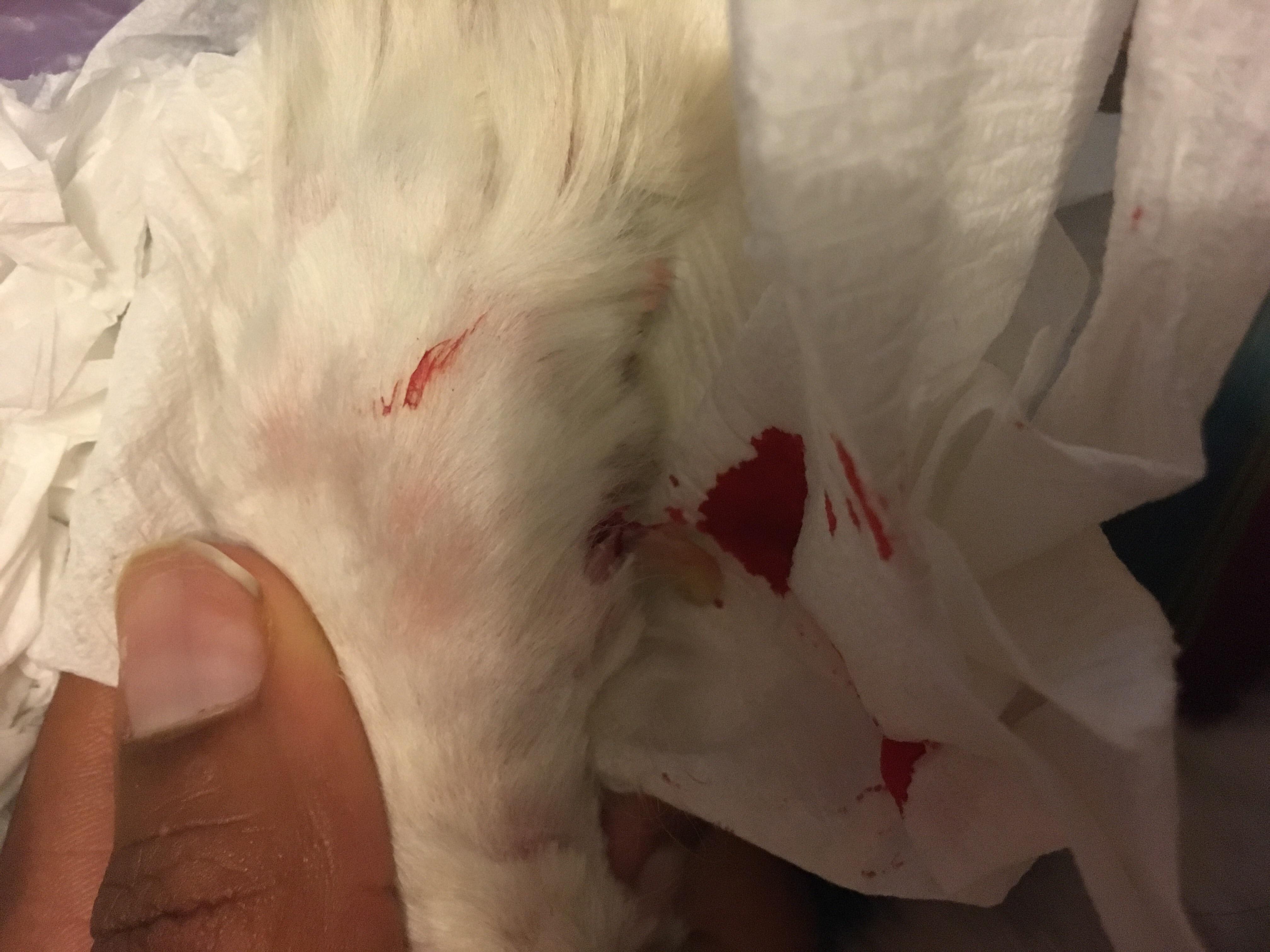 Question details sensitive content