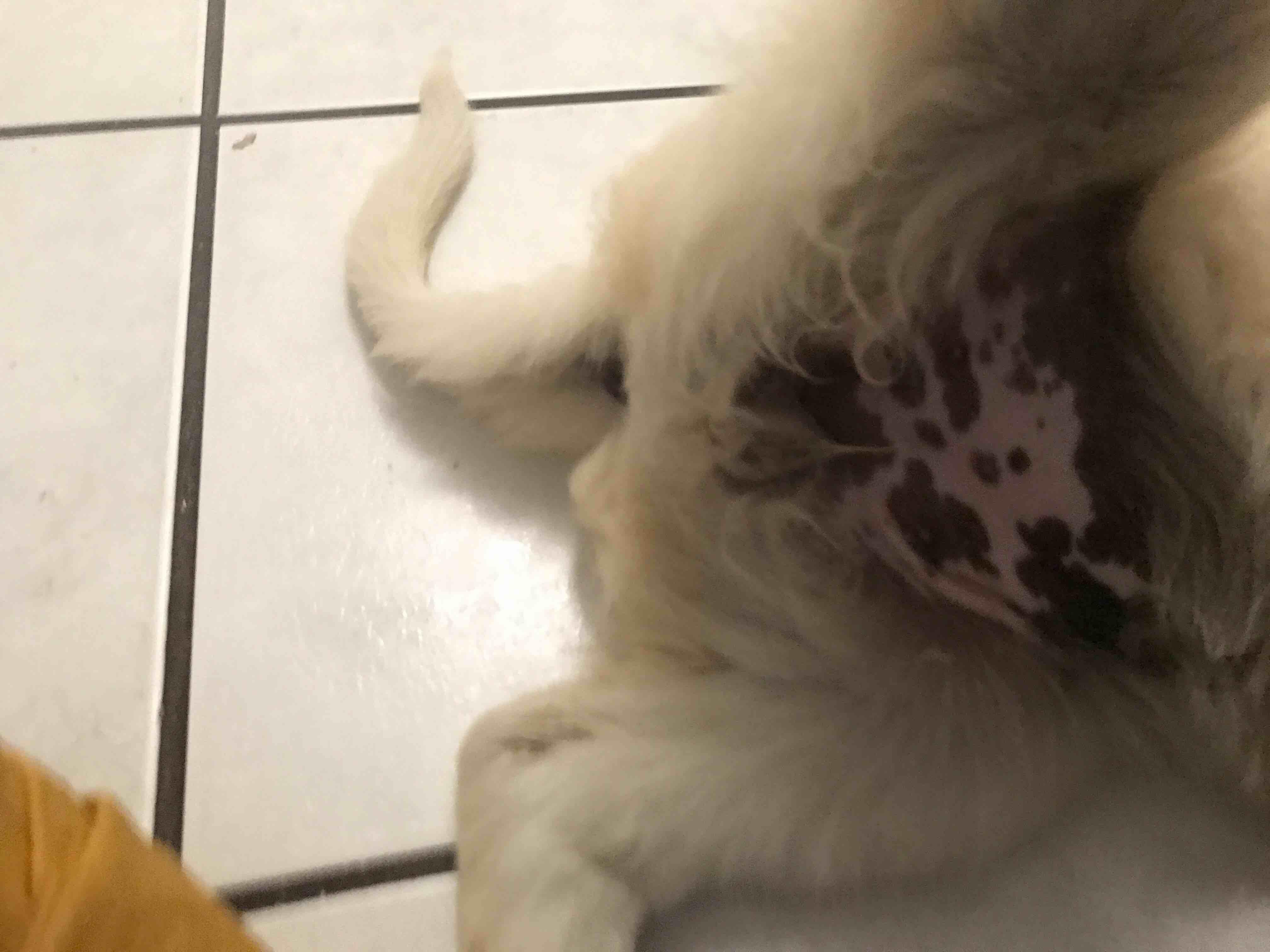 Question details sensitive content