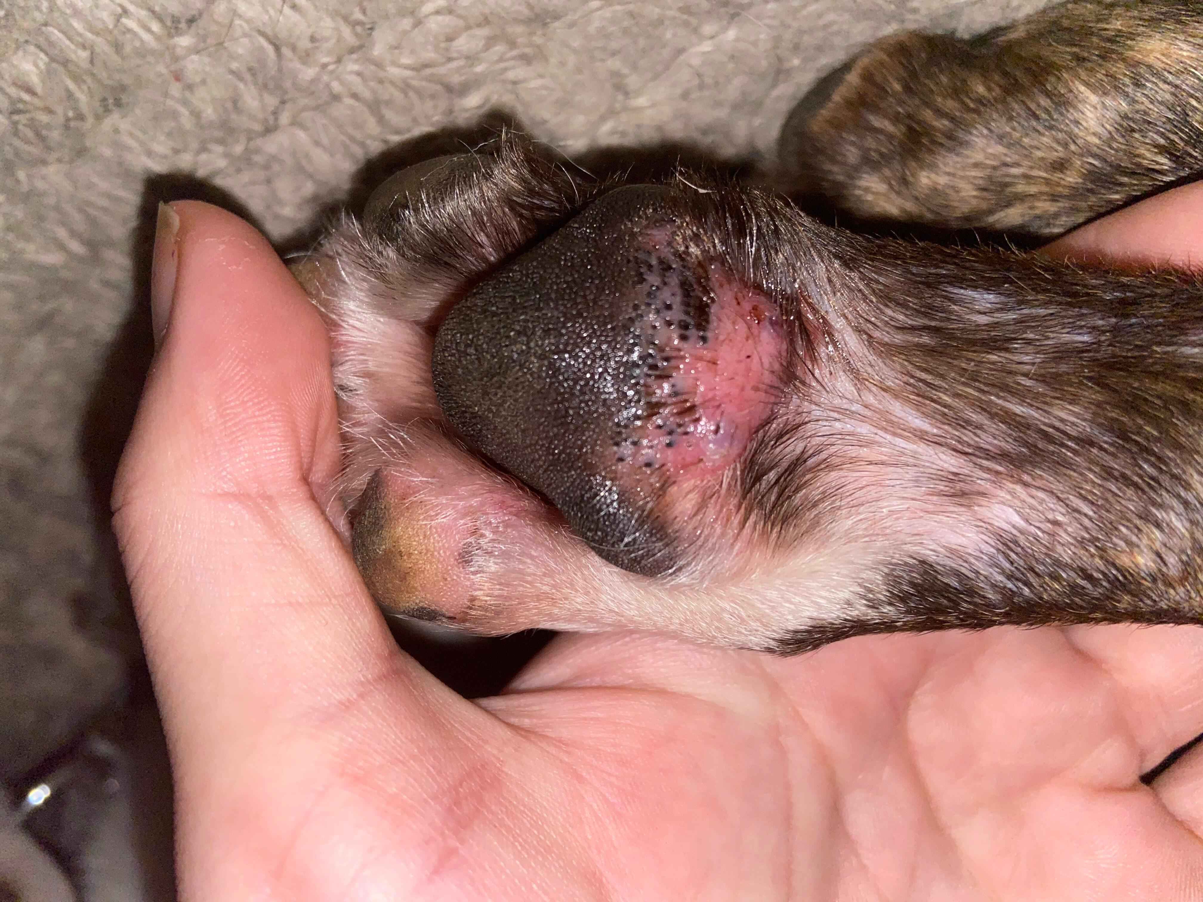 Question details sensitive content