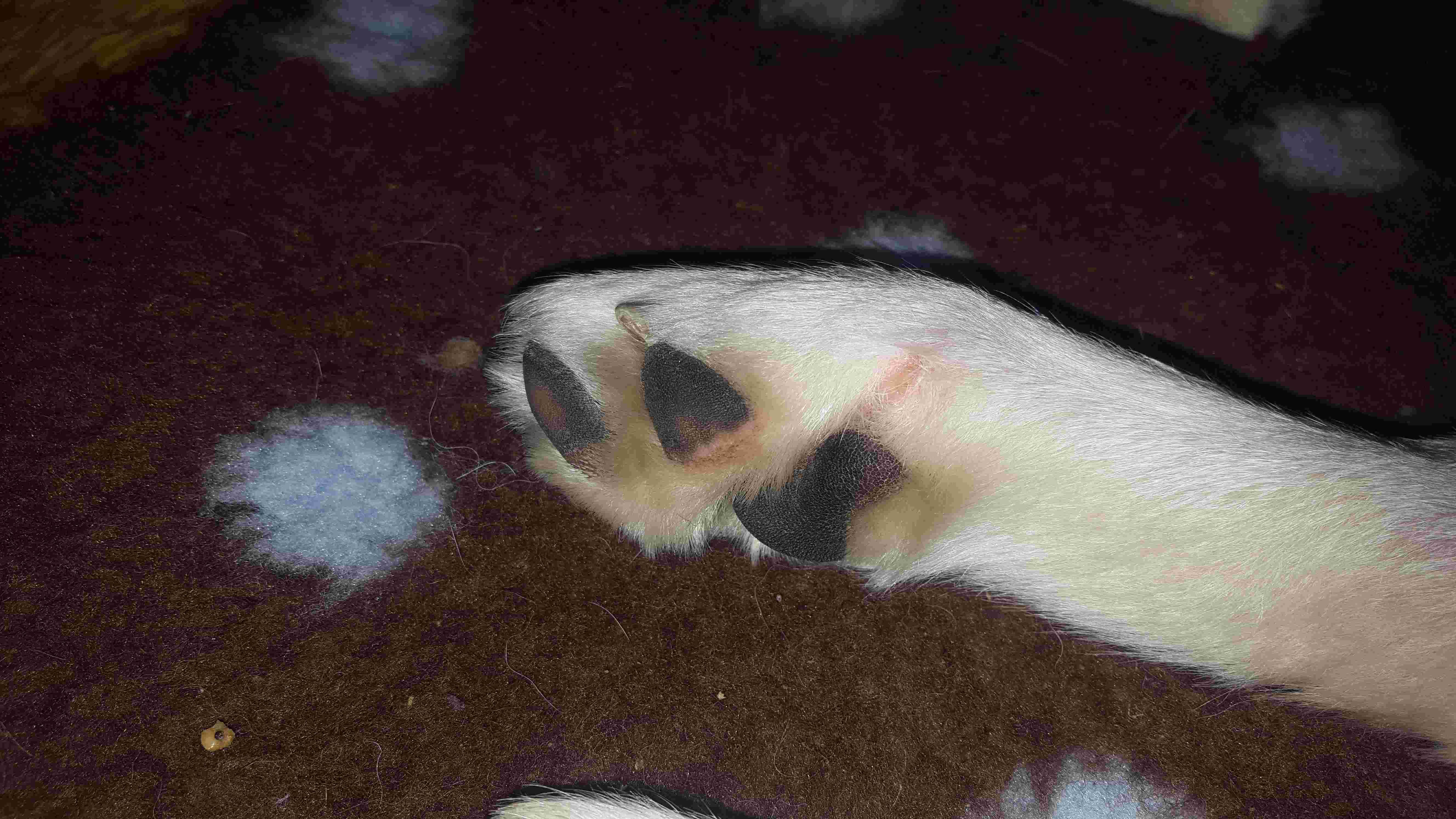 Question details sensitive content