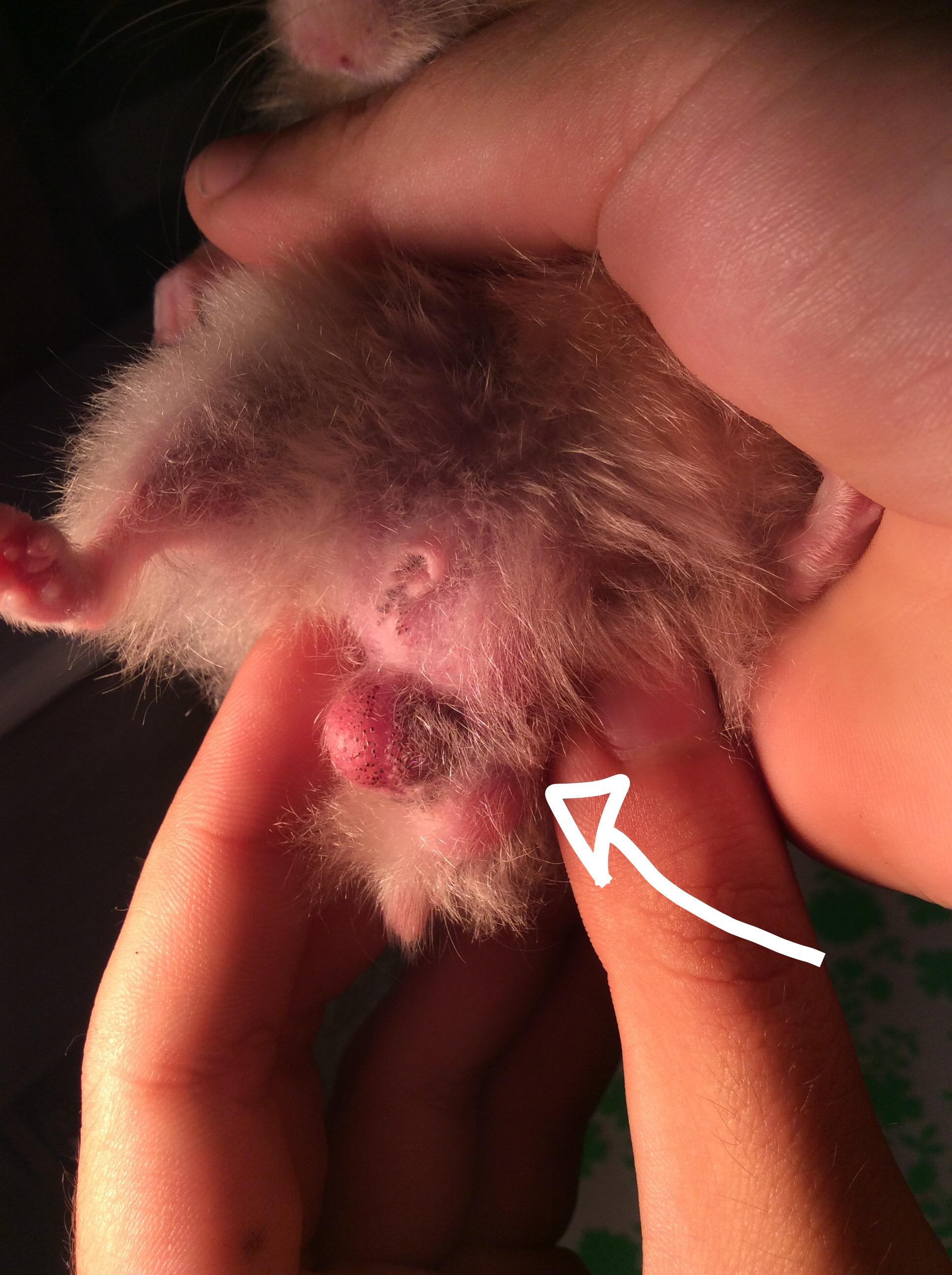 Question details sensitive content