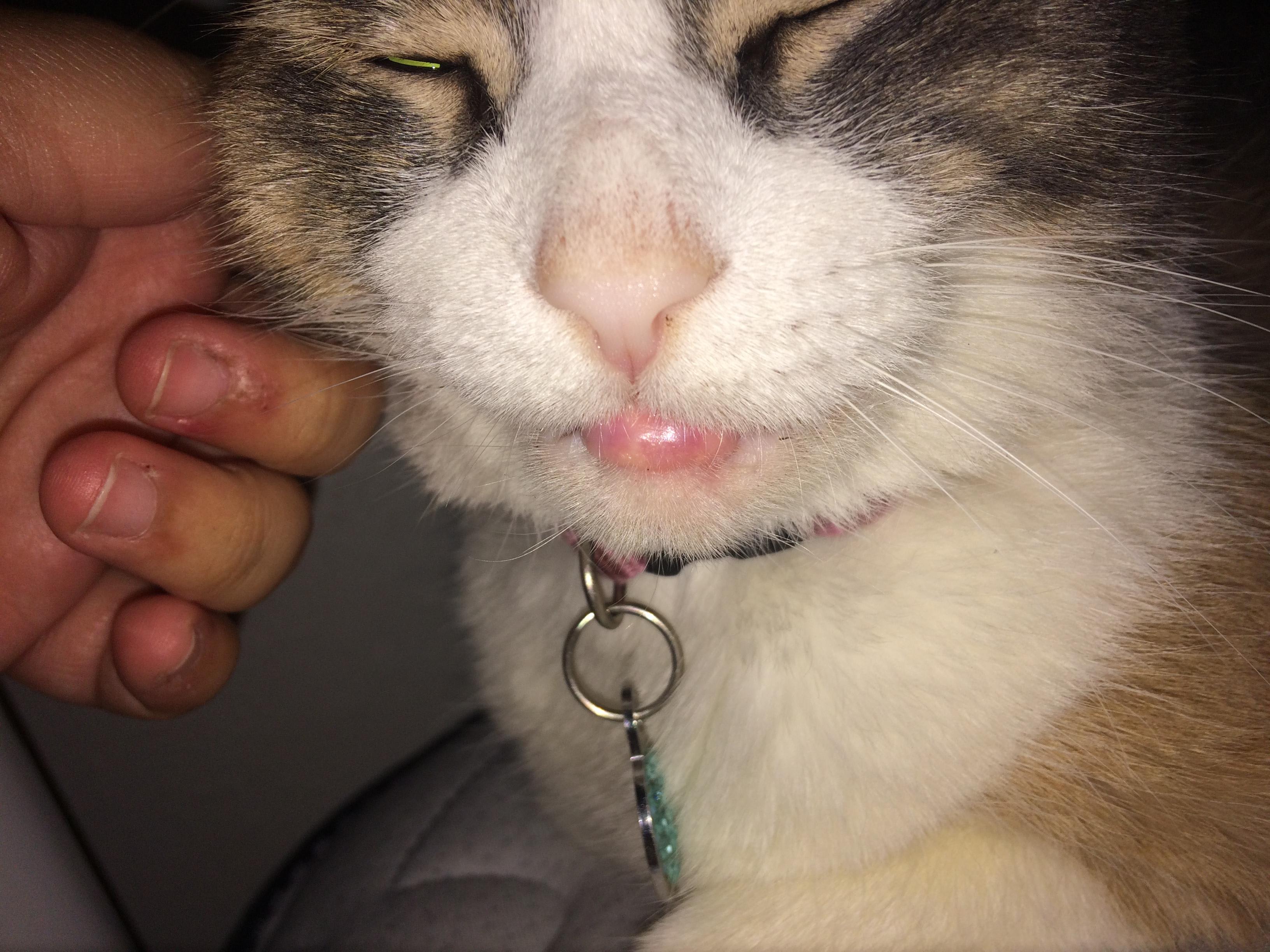 Question details sensitive content