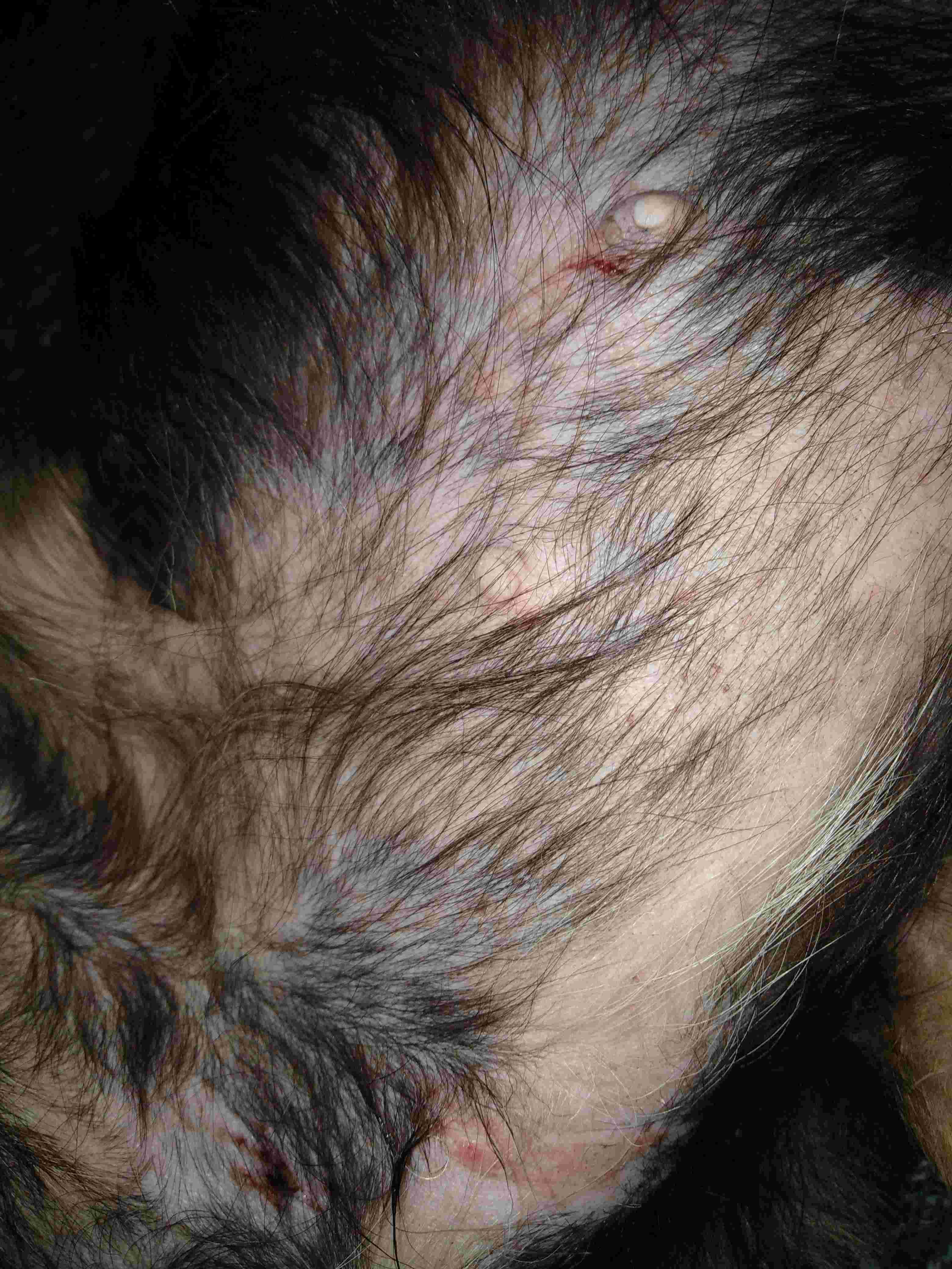 Question details sensitive content