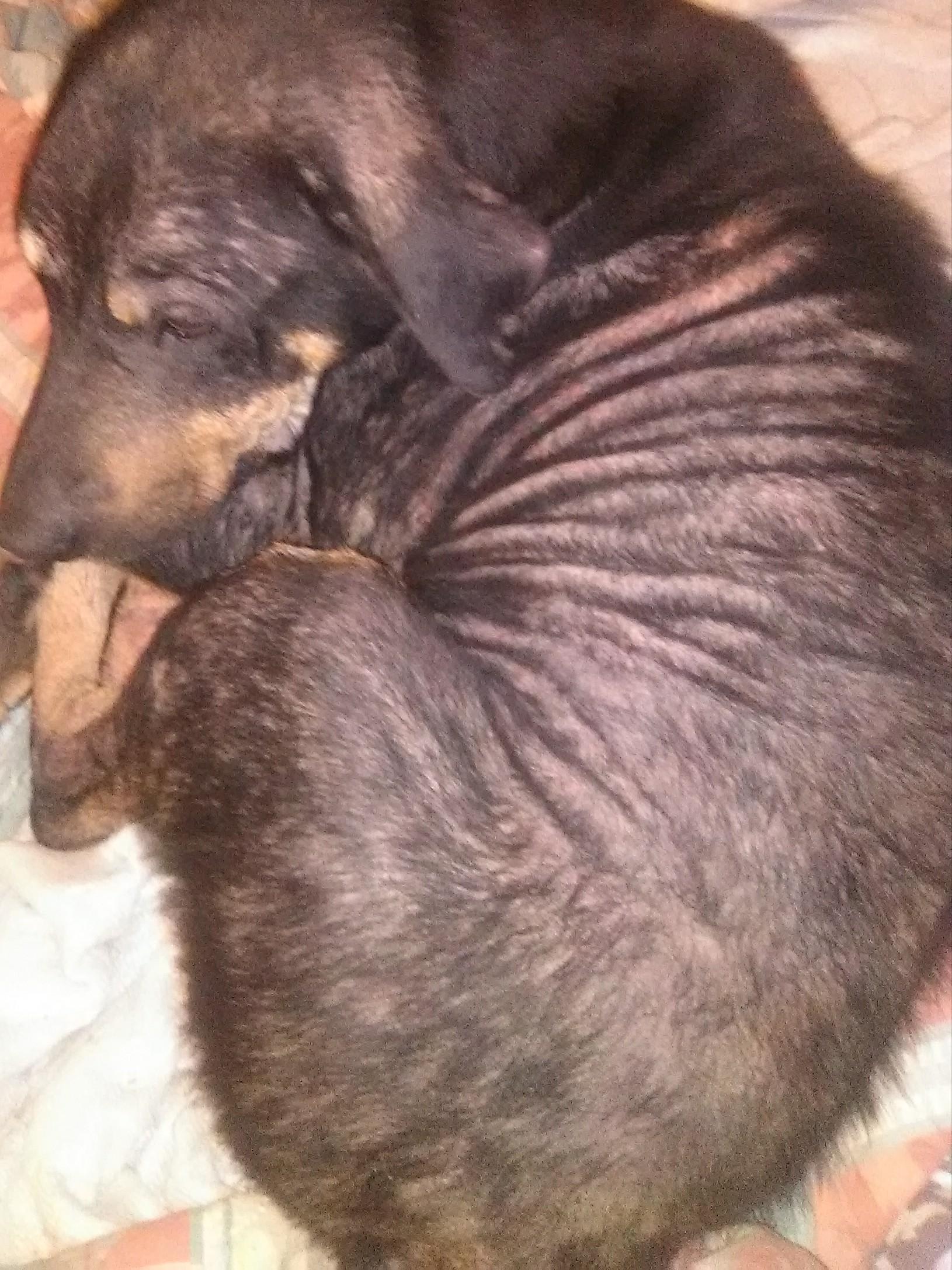 Question details sensitive content