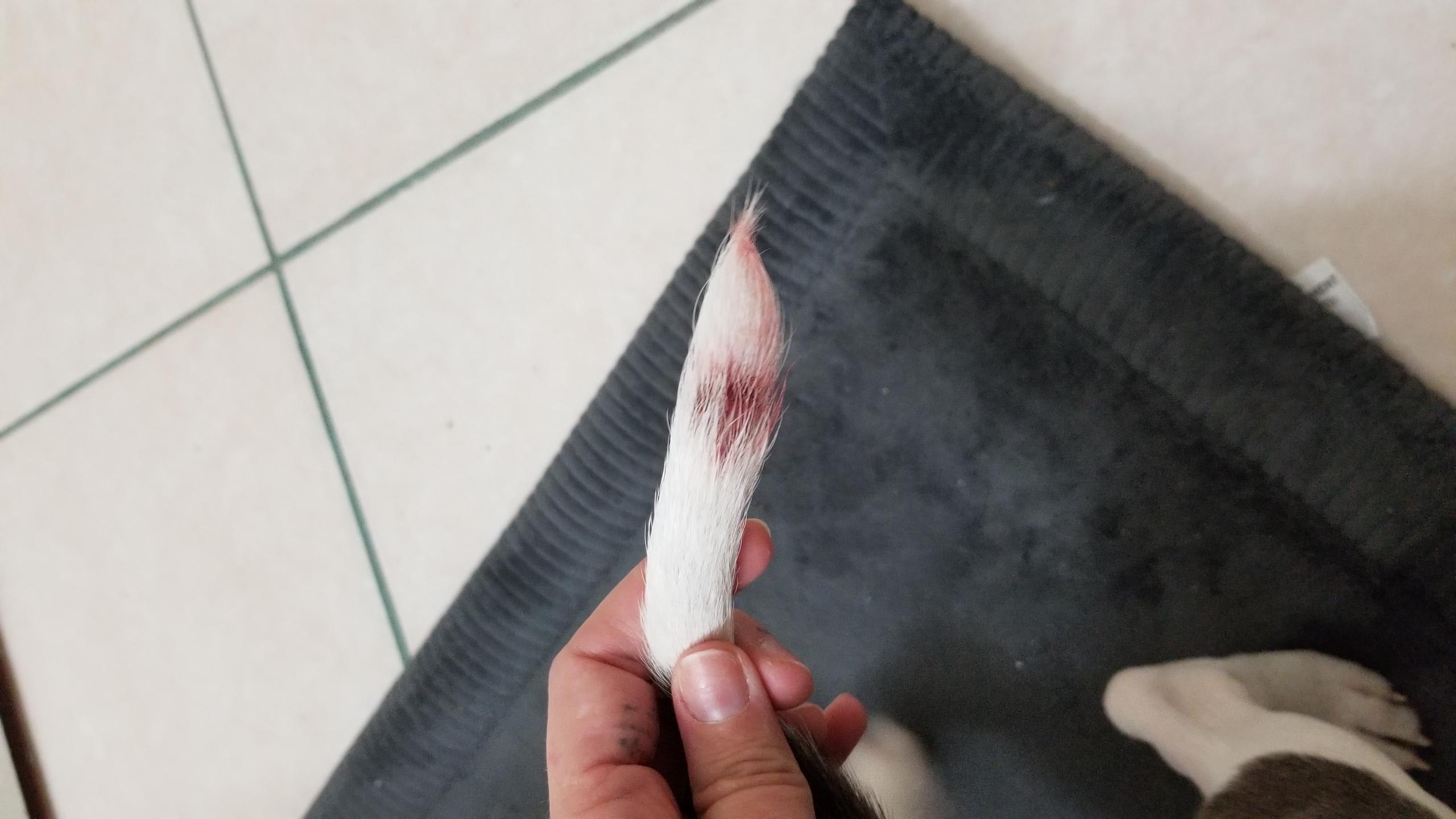 Question details sensitive content