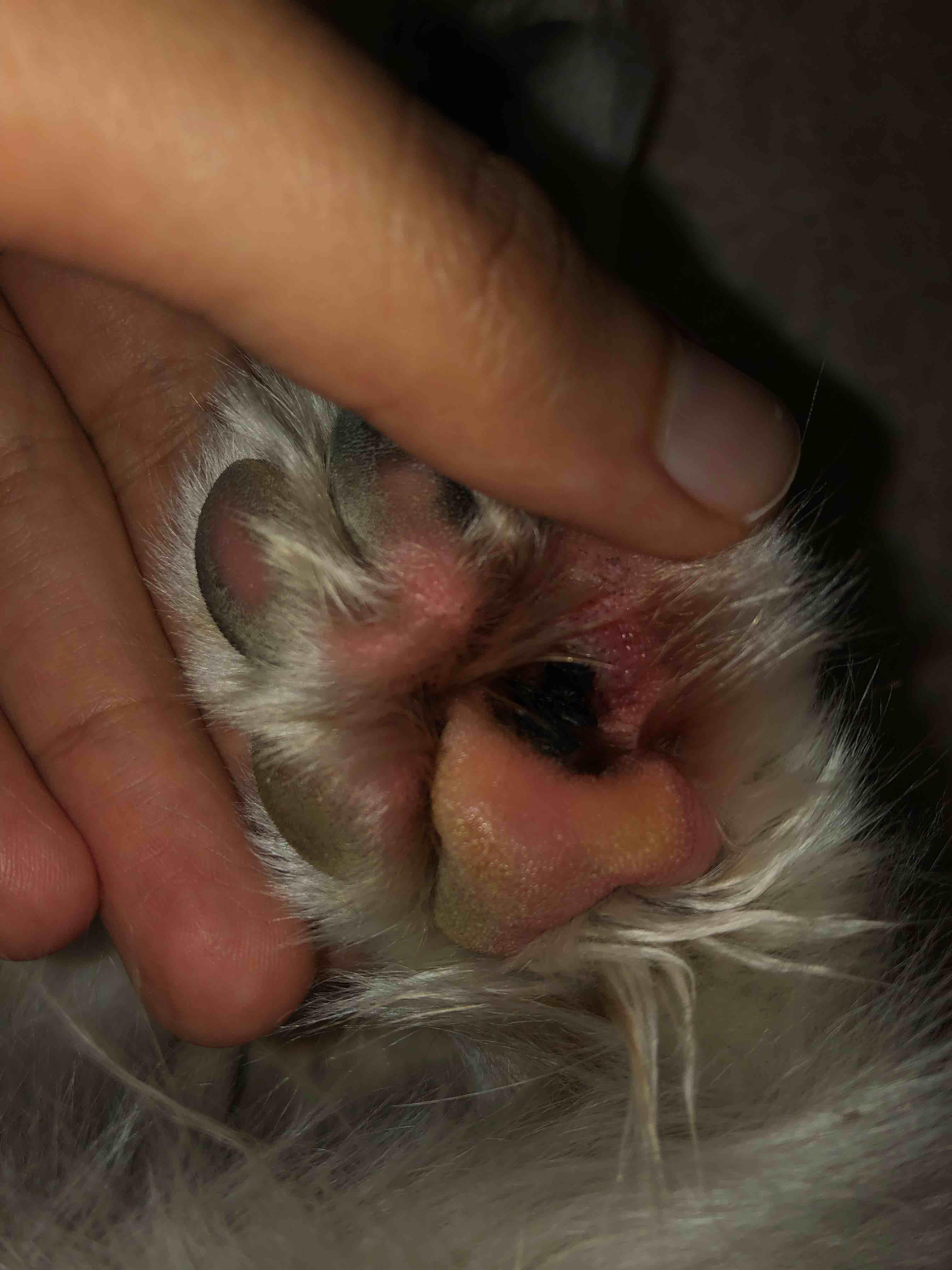 Question details sensitive content