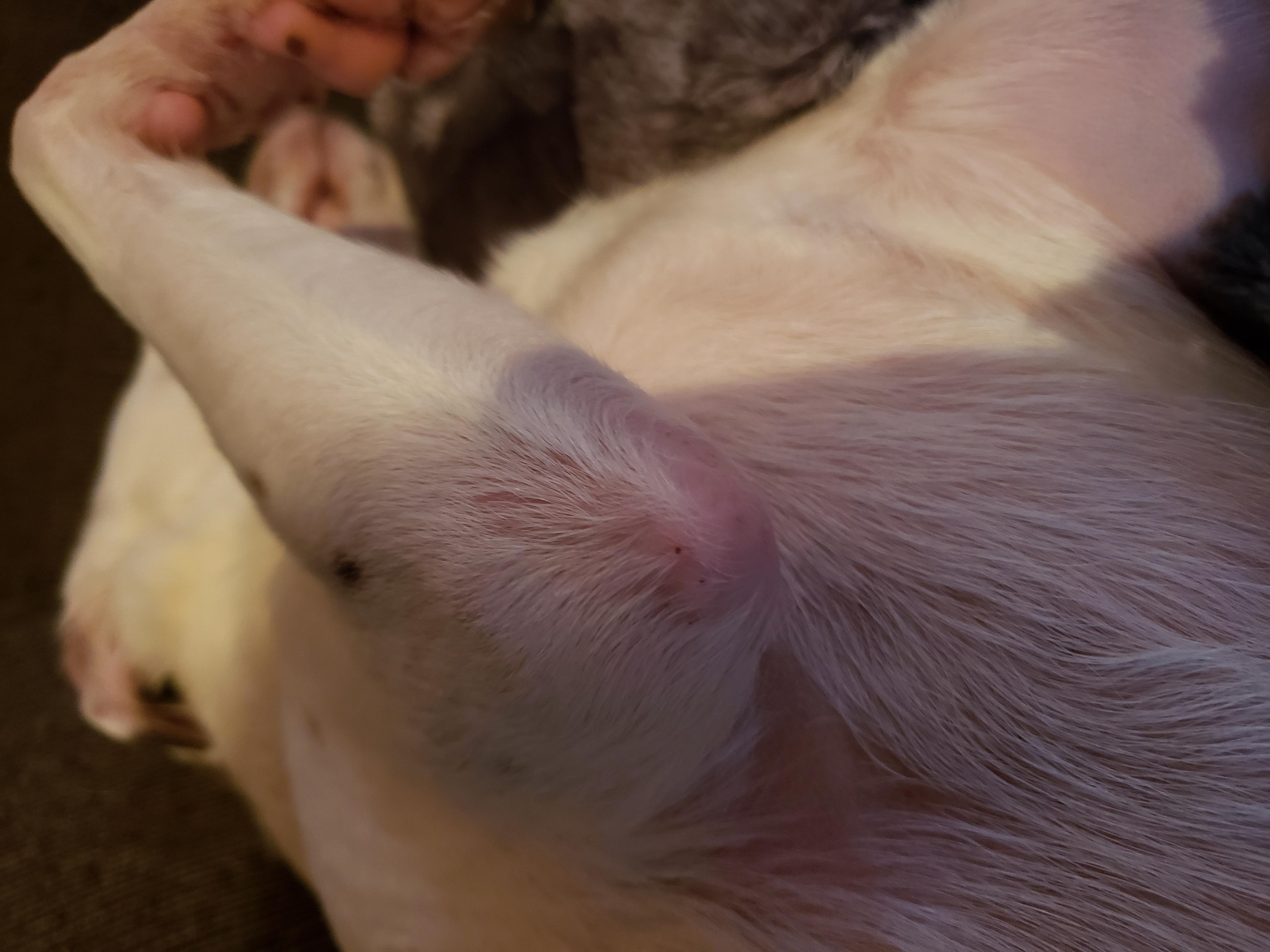 Question details sensitive content