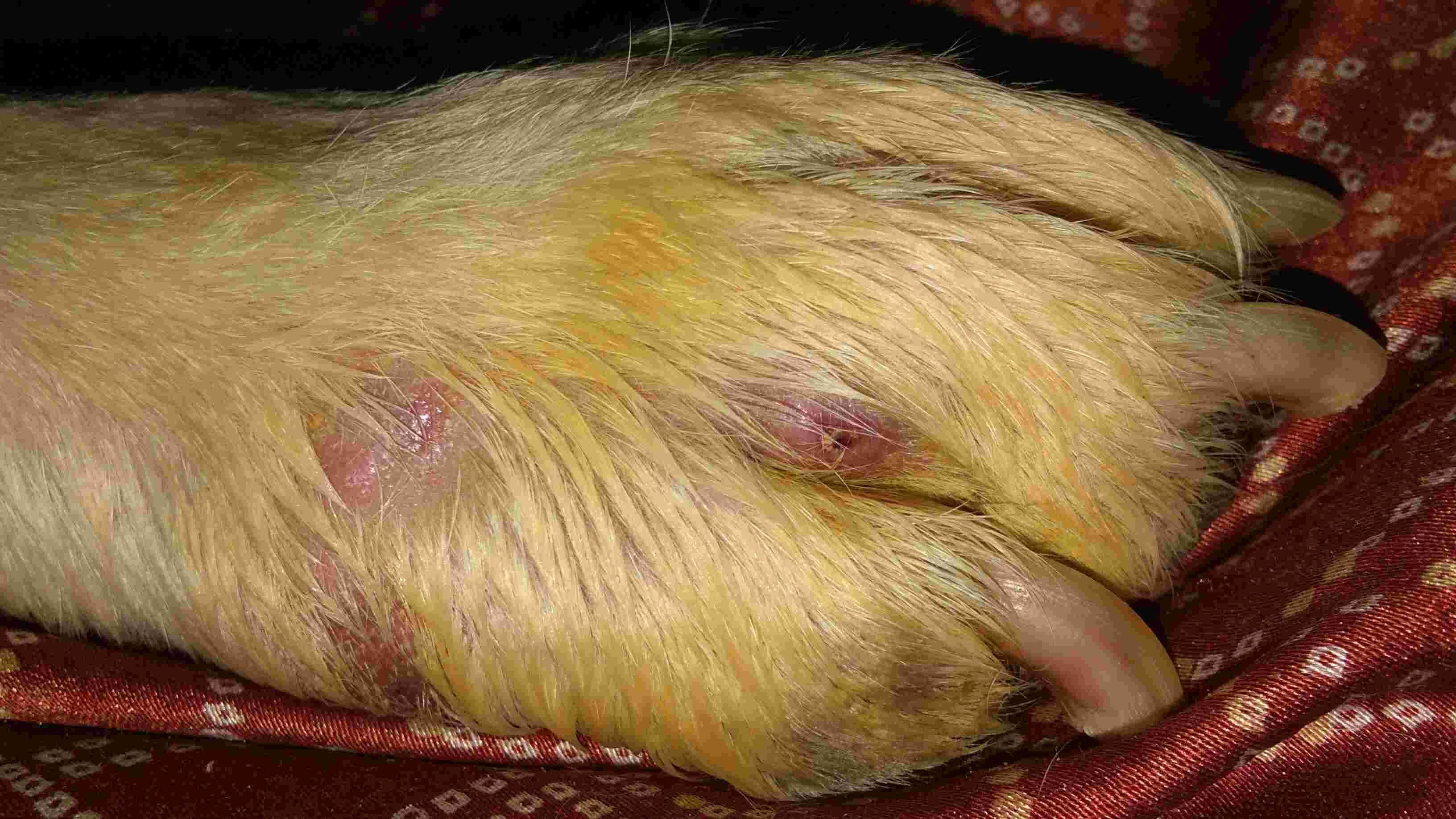 Question details sensitive content