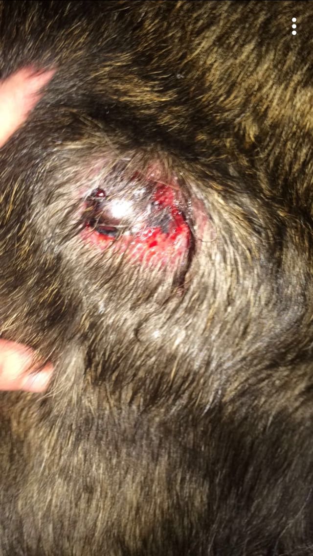 Question details sensitive content