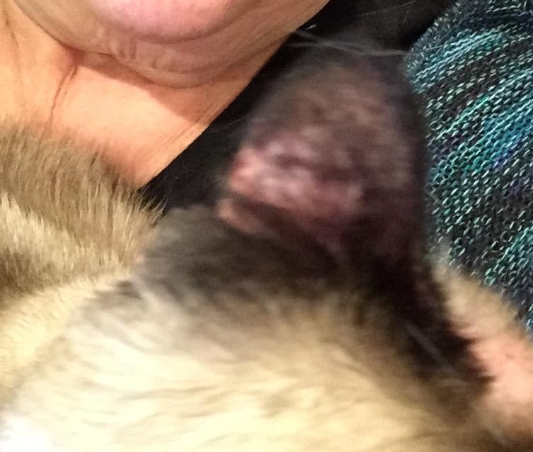 Question details sensitive content