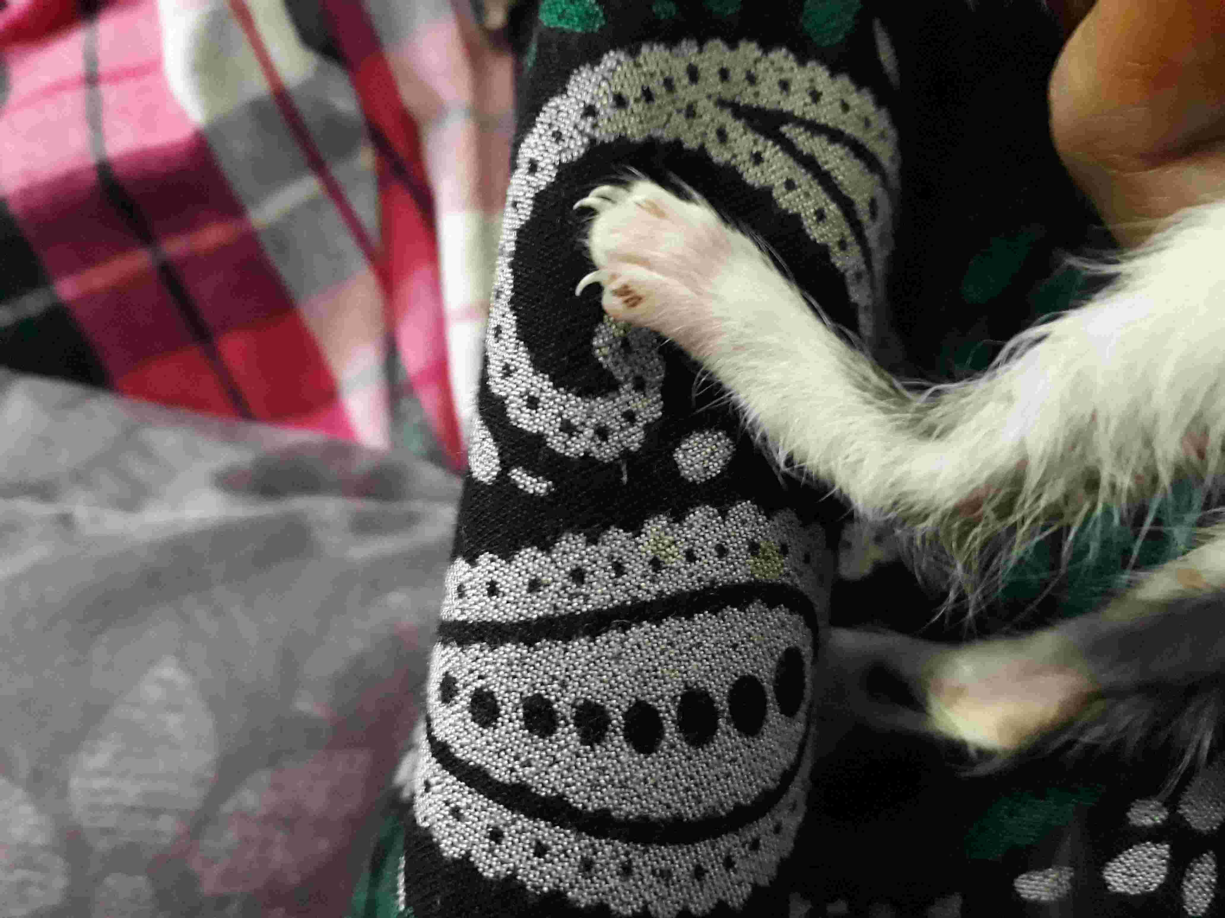 Question details sensitive content