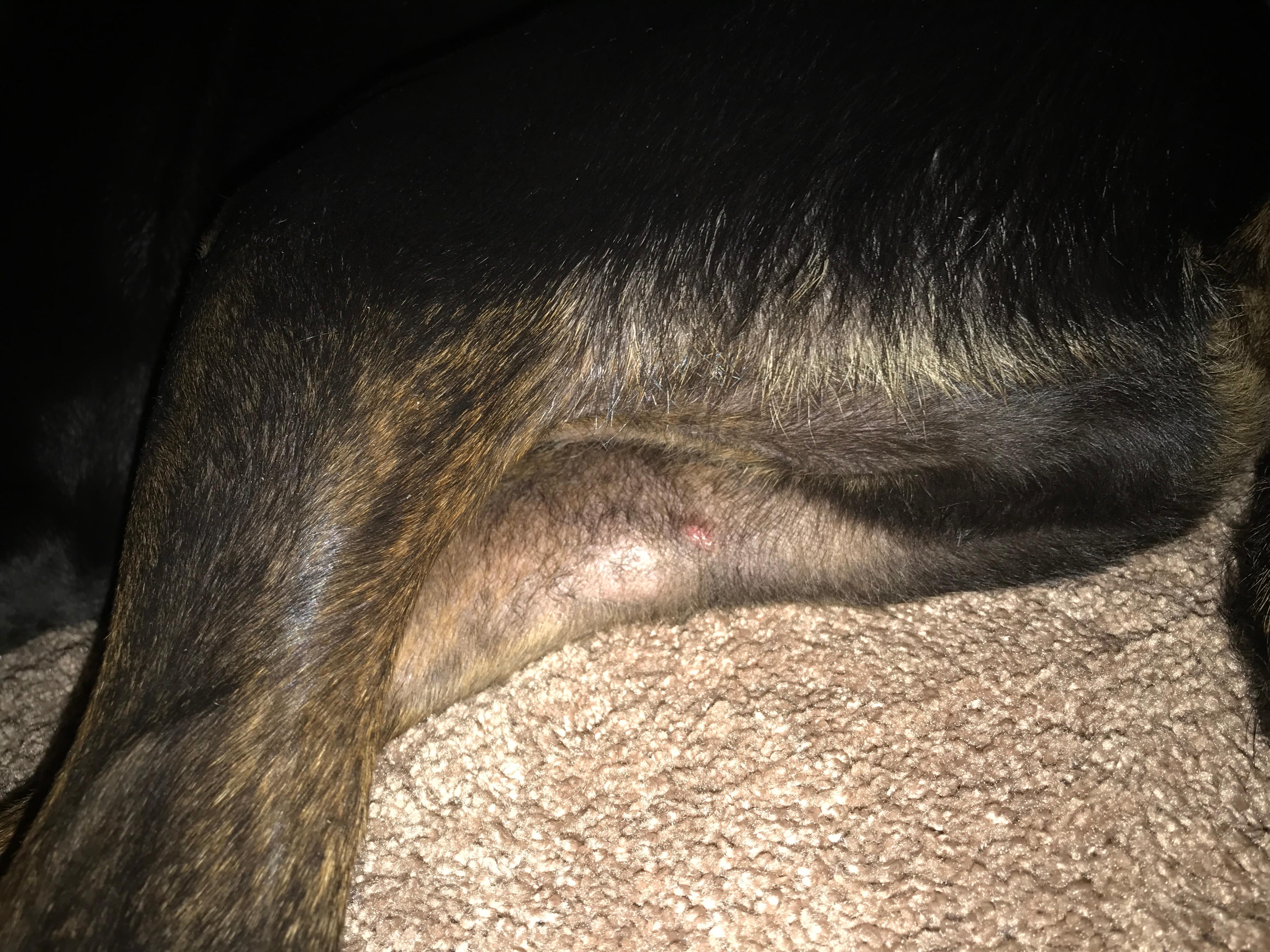 Question details sensitive content