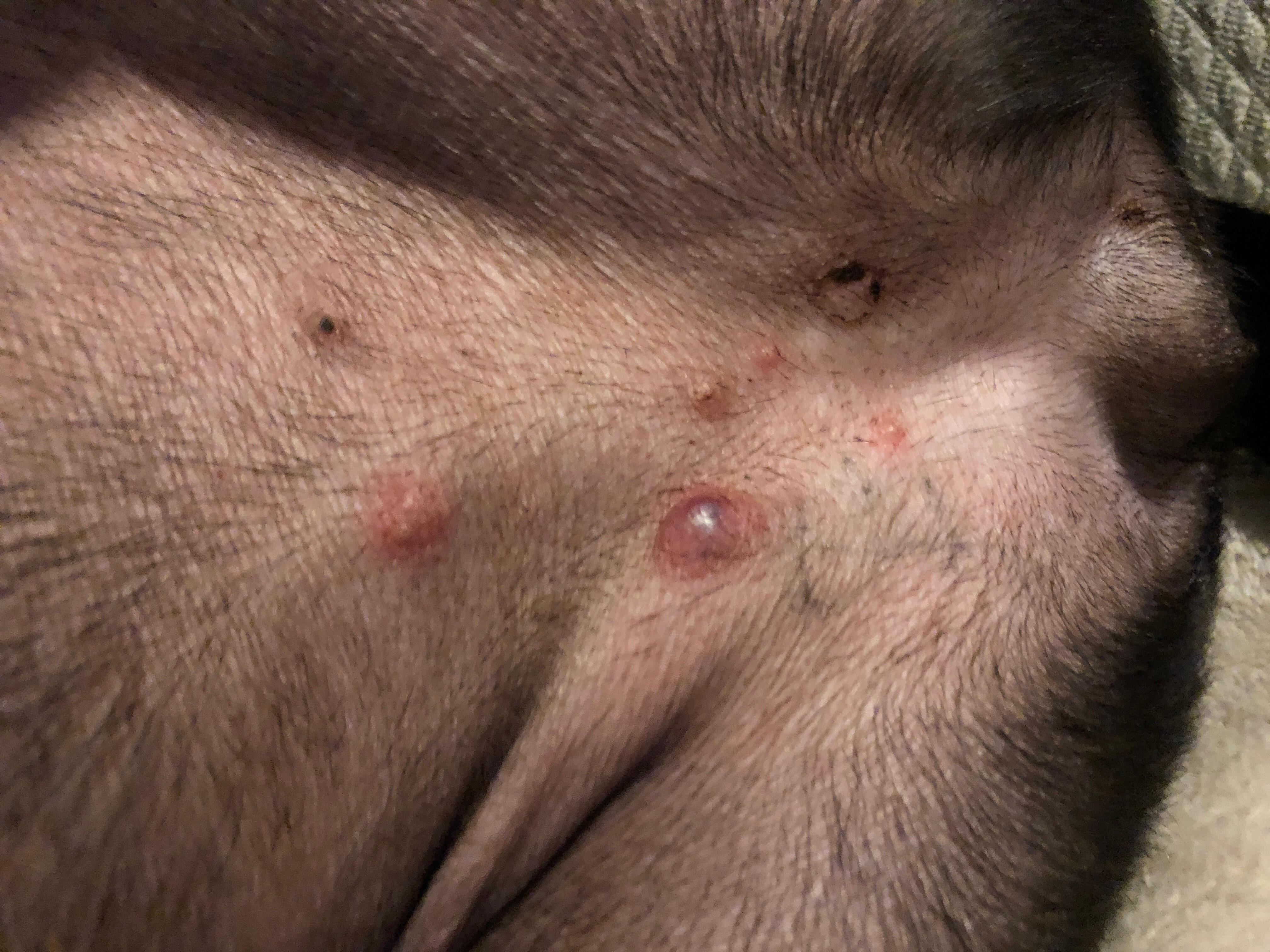 Question details sensitive content