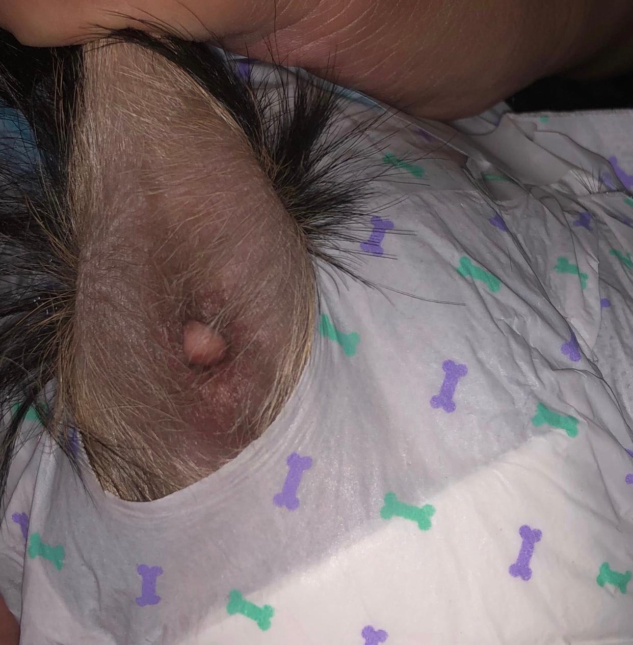 Question details sensitive content