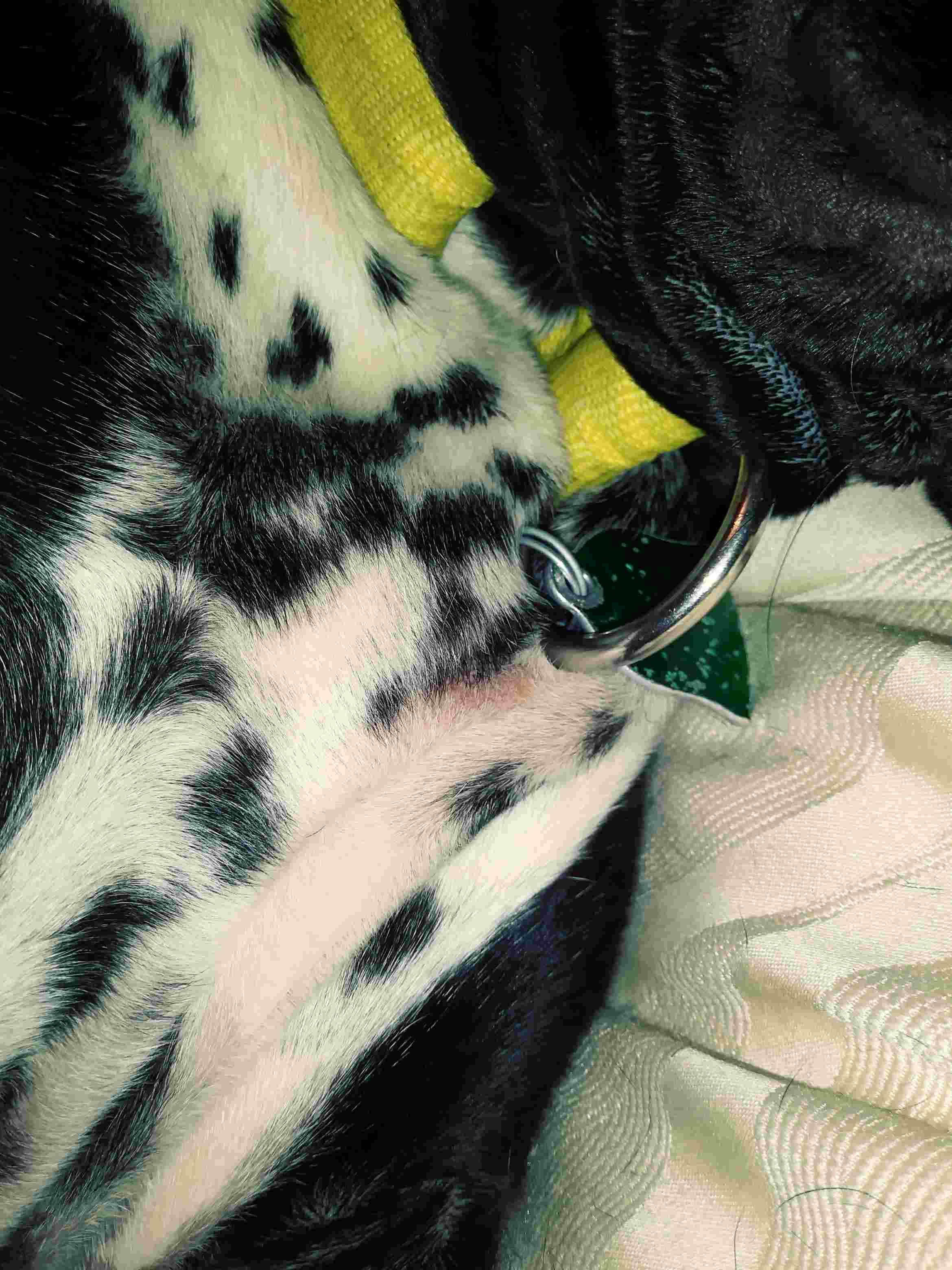 Question details sensitive content