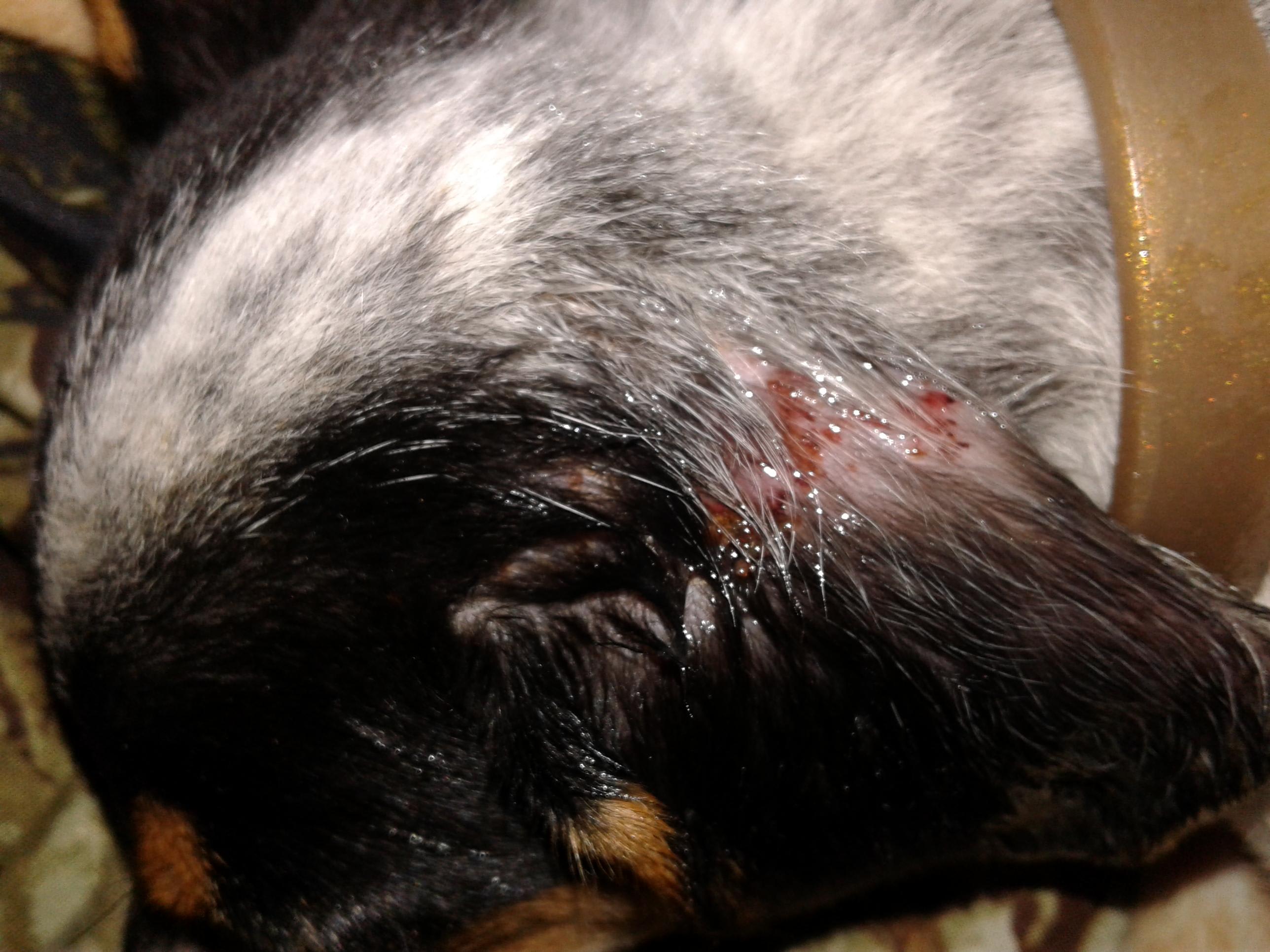 Question details sensitive content