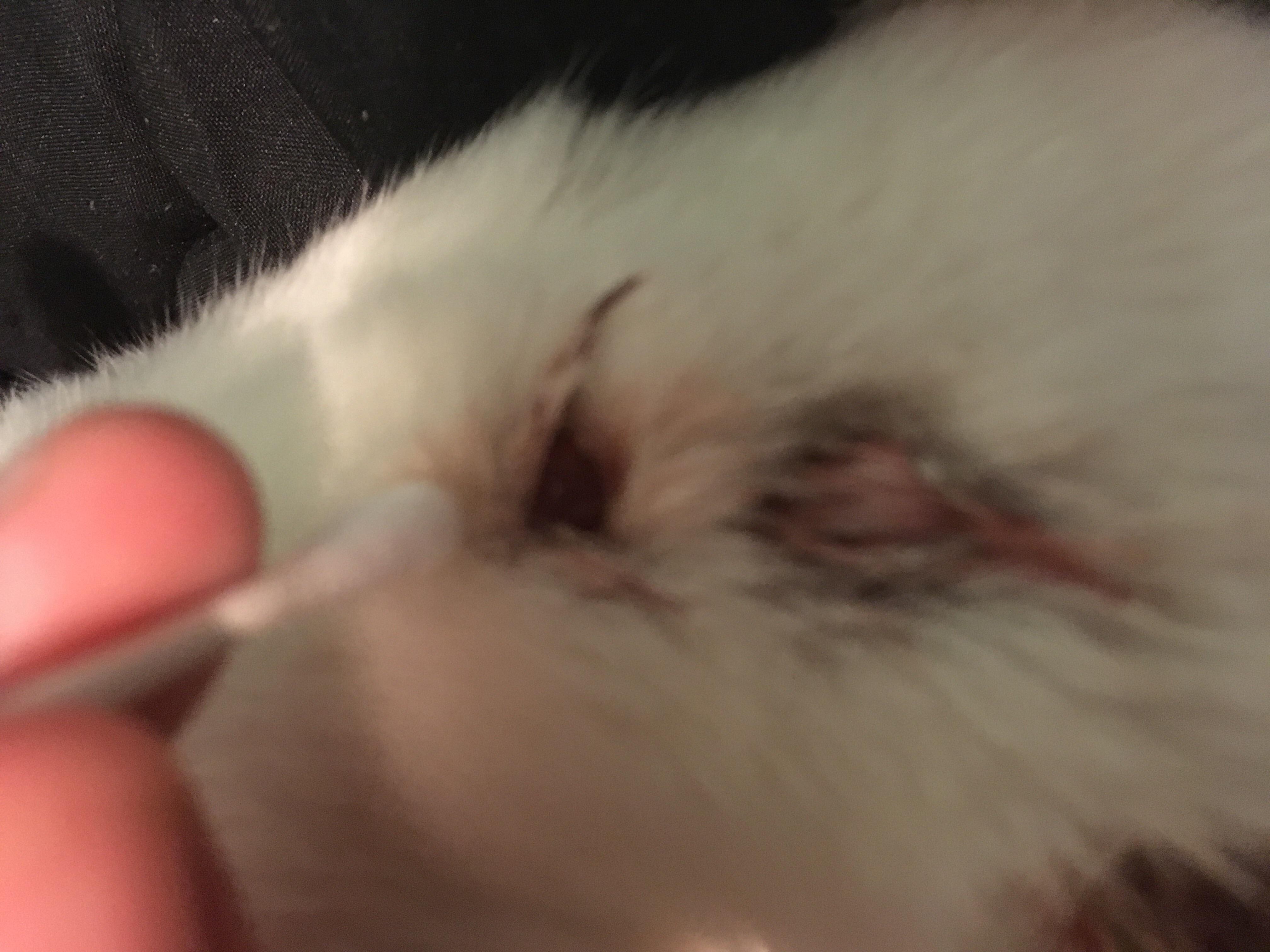 Question details sensitive content