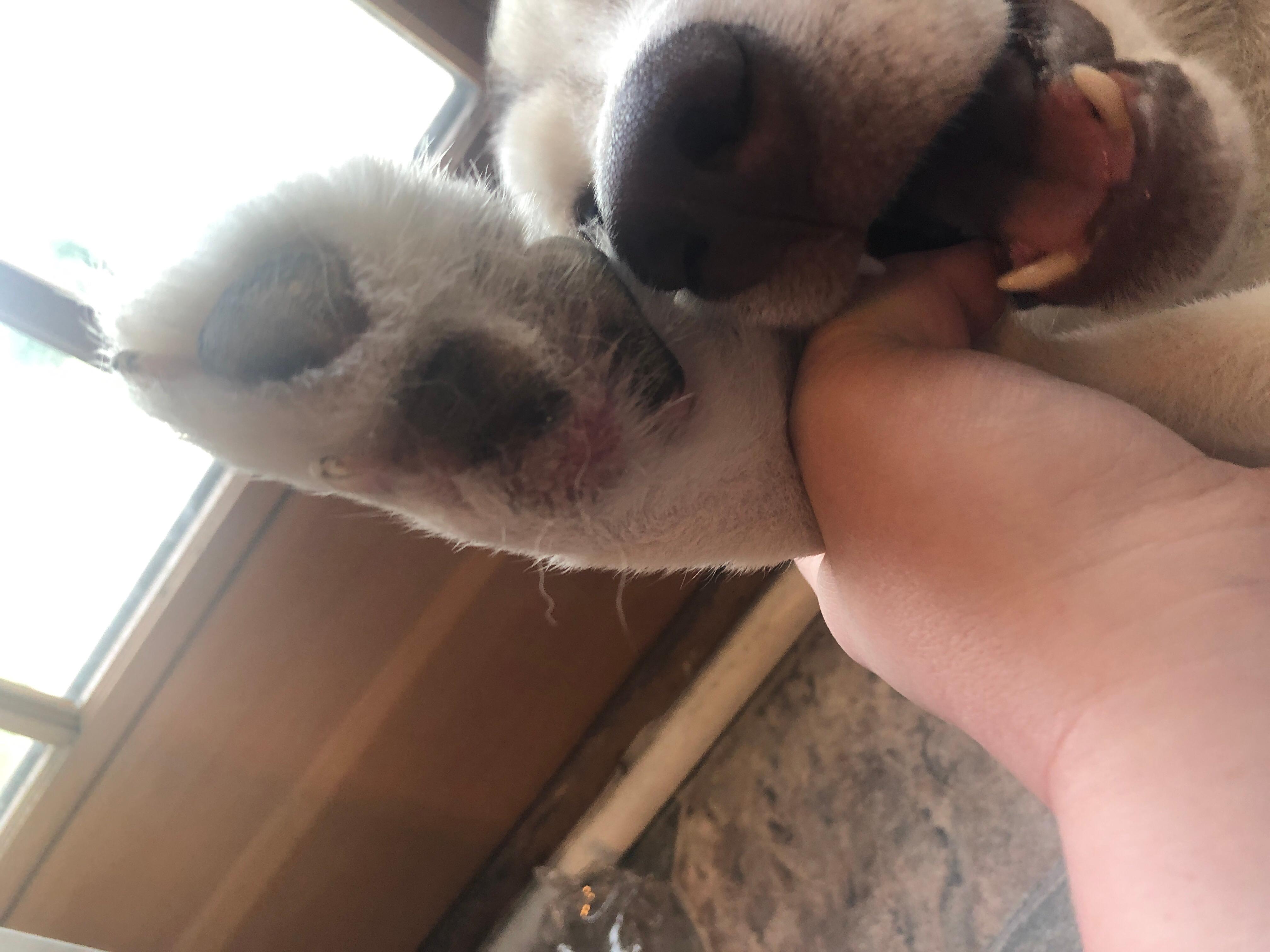 Question details sensitive content