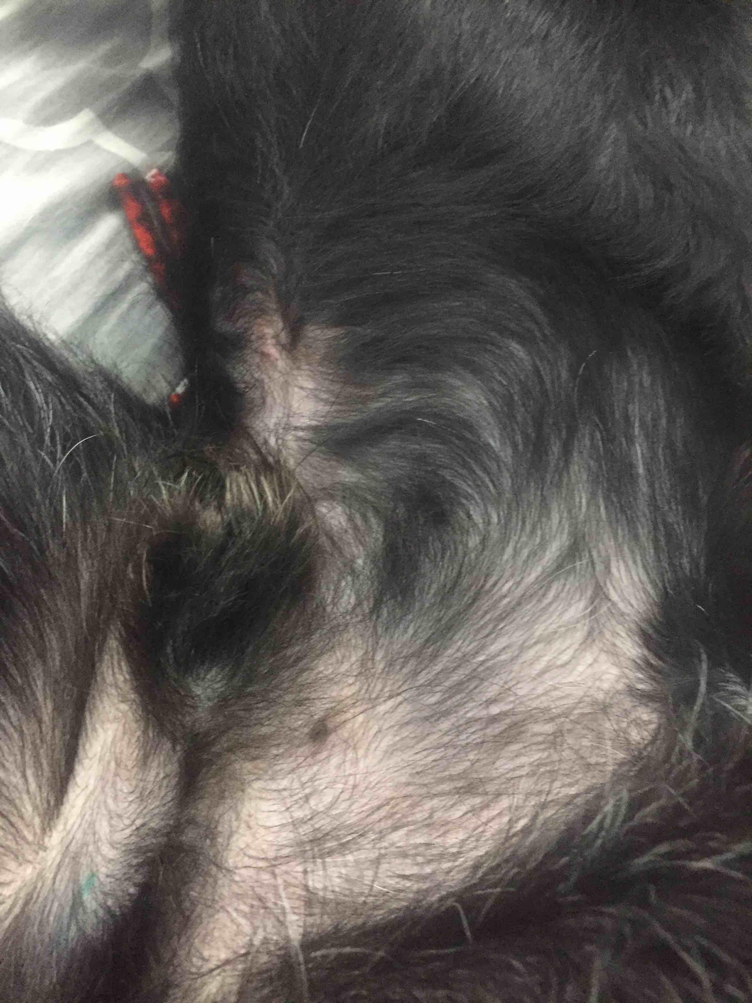 Question details sensitive content