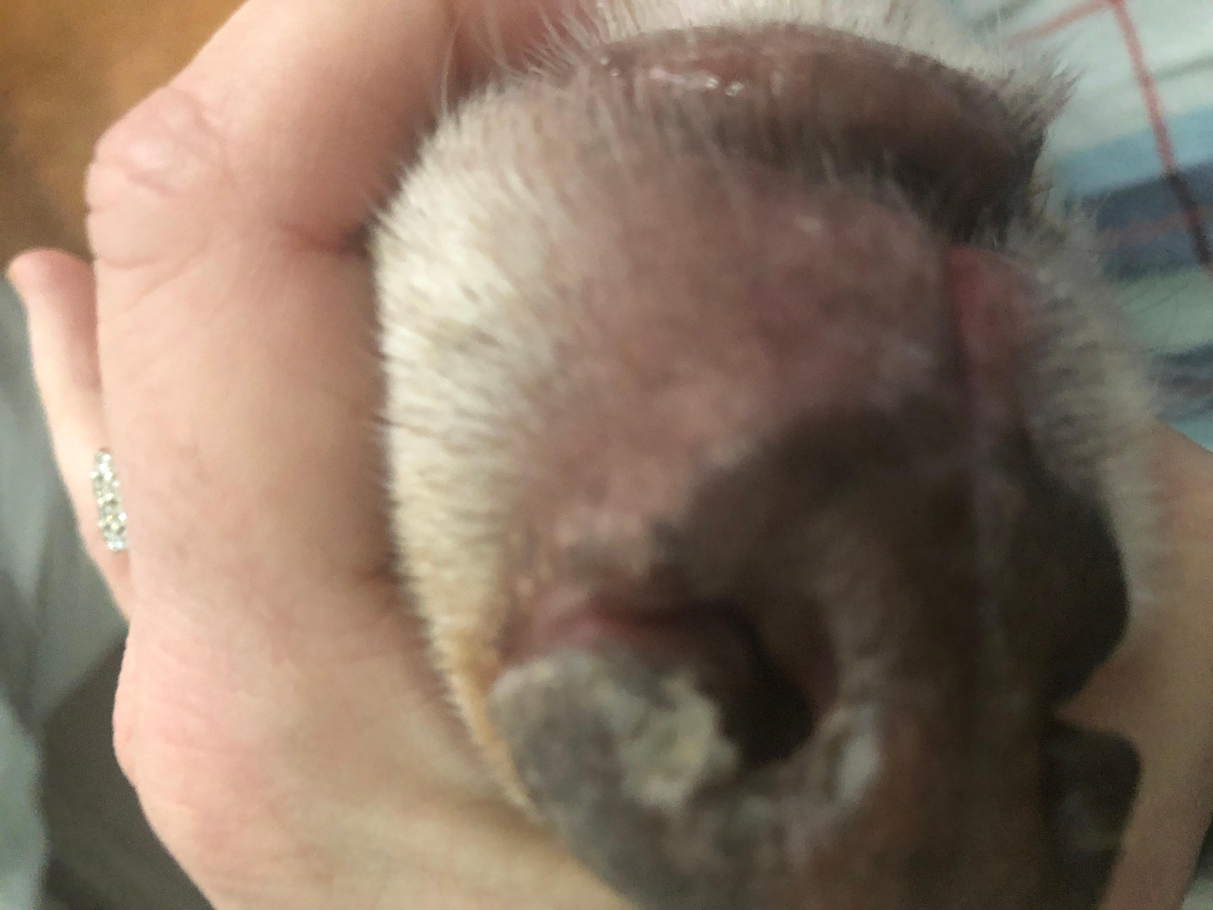 Question details sensitive content