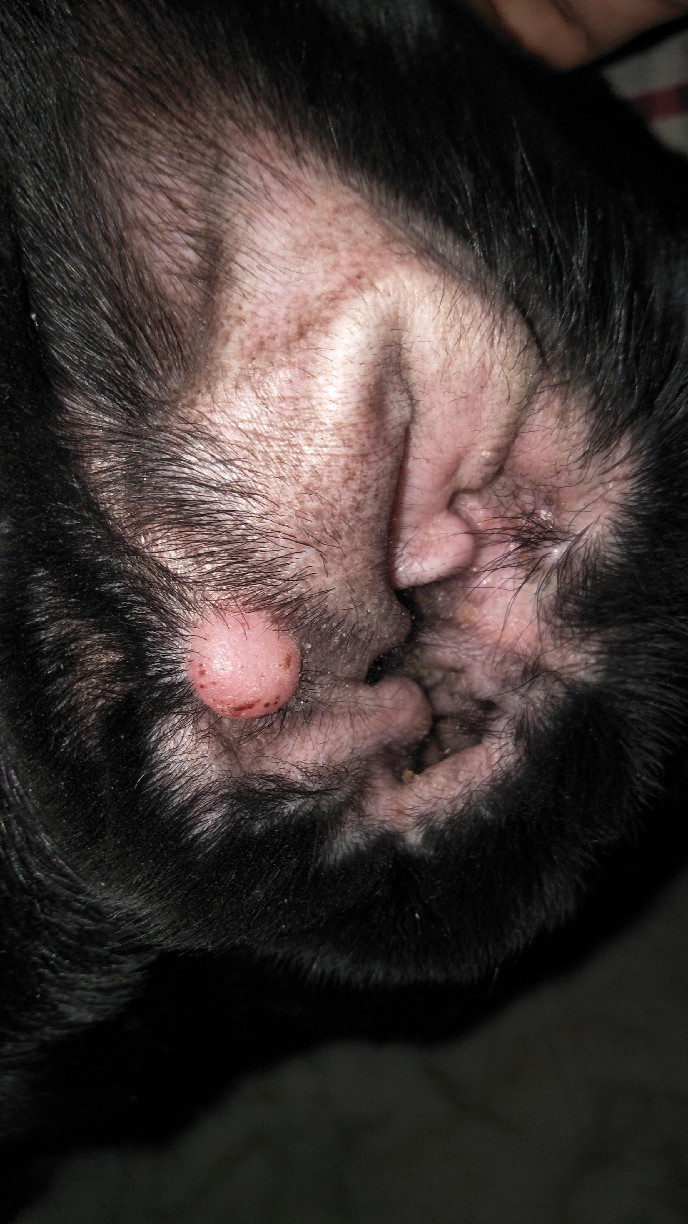 Question details sensitive content