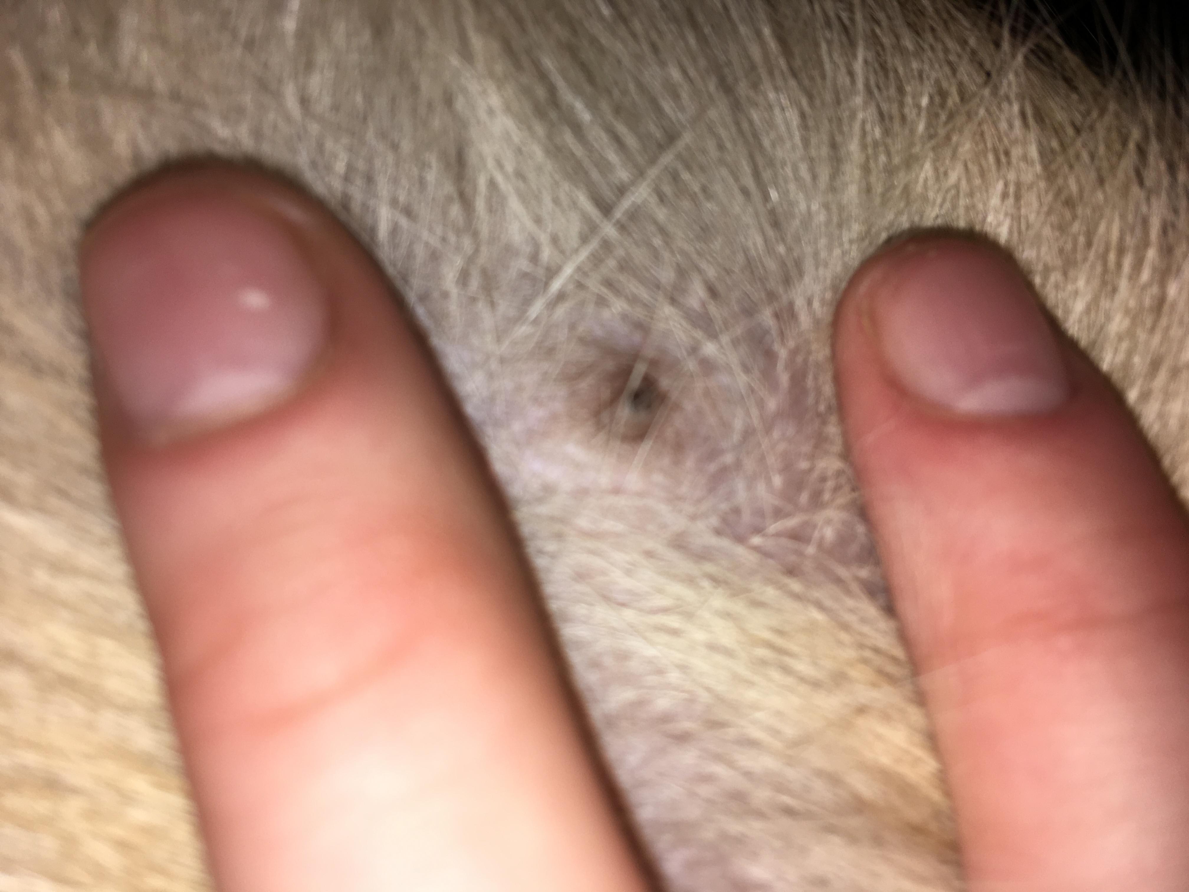 Question details sensitive content