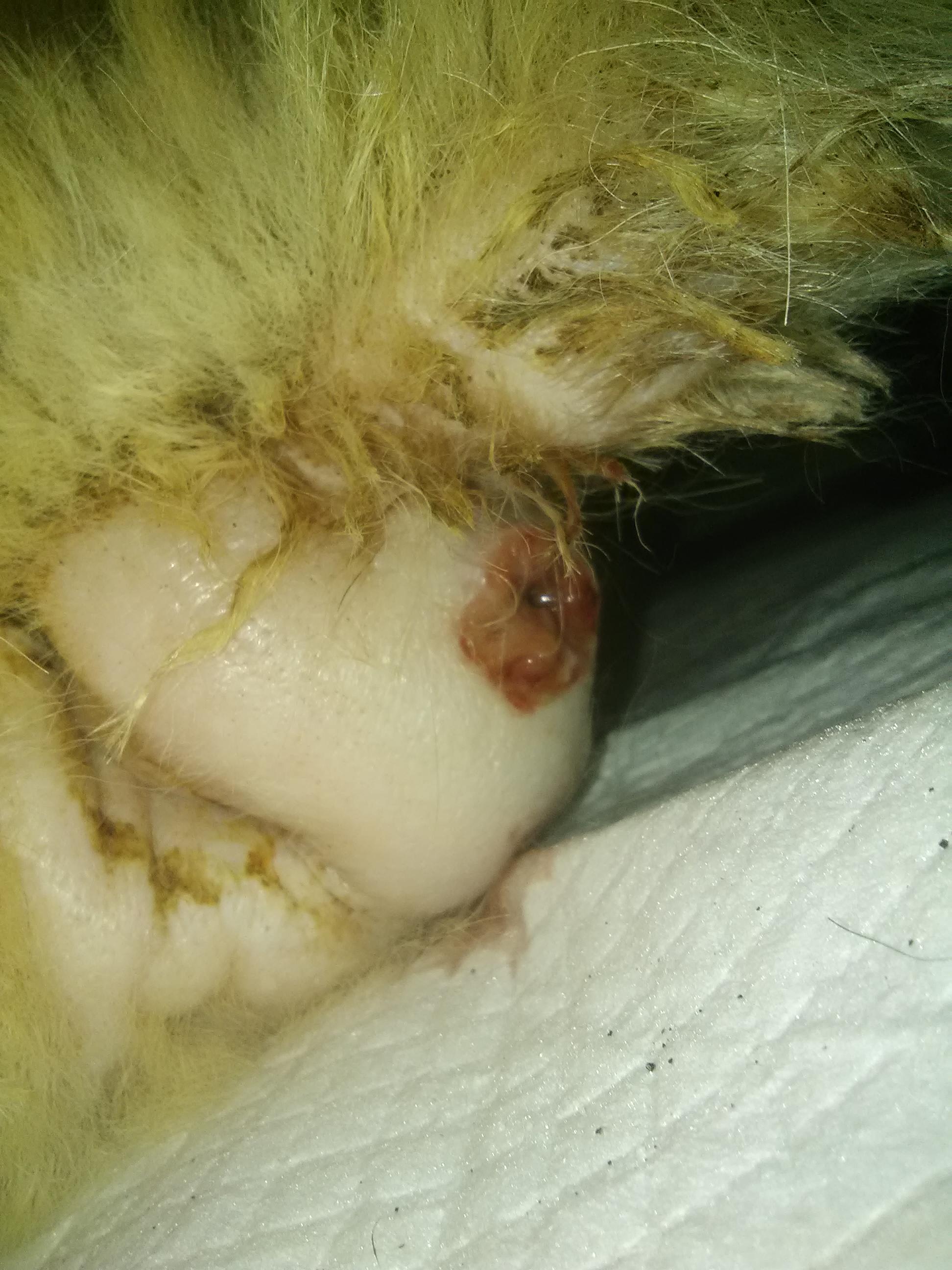 Question details sensitive content