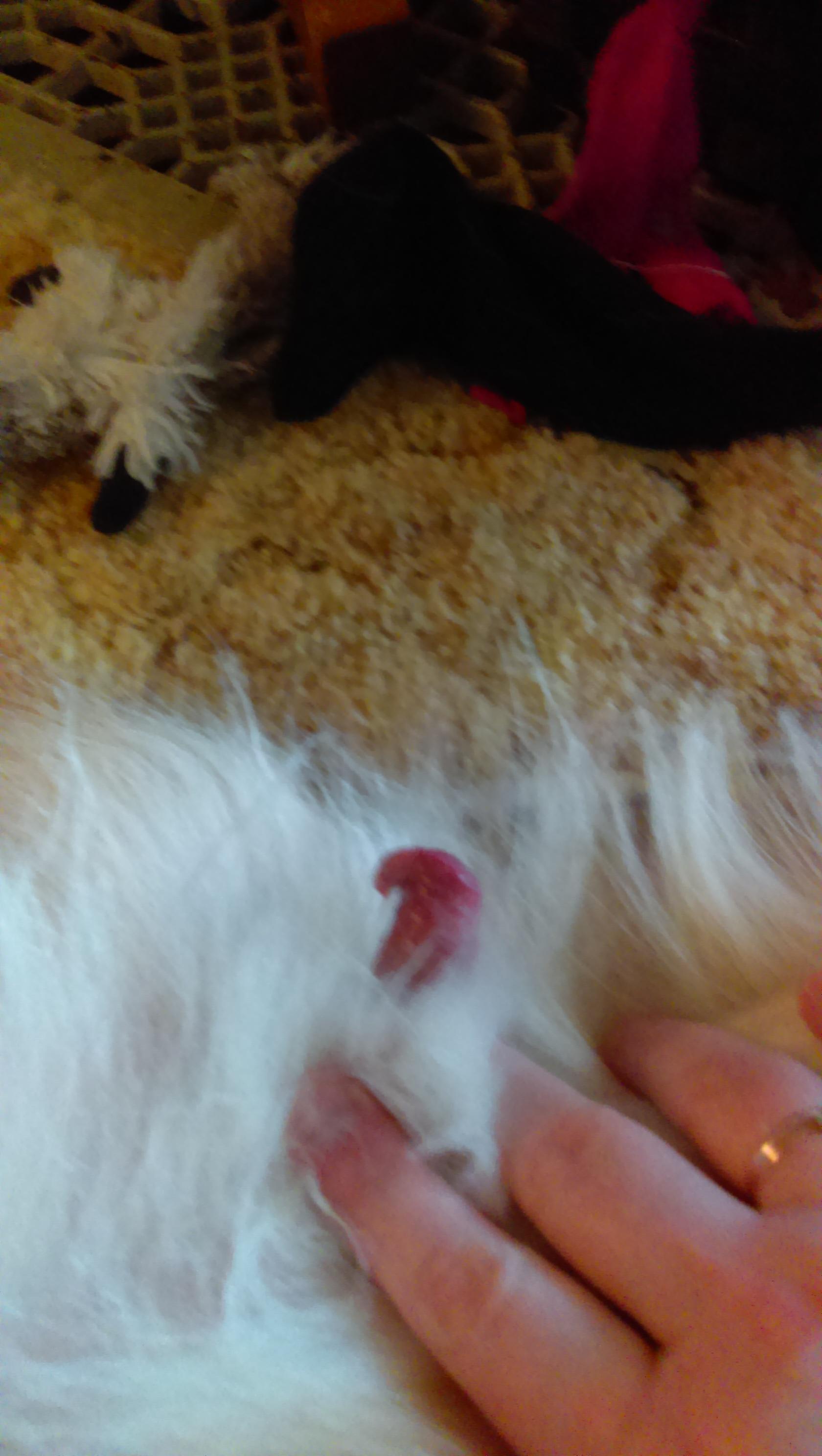 Question details sensitive content