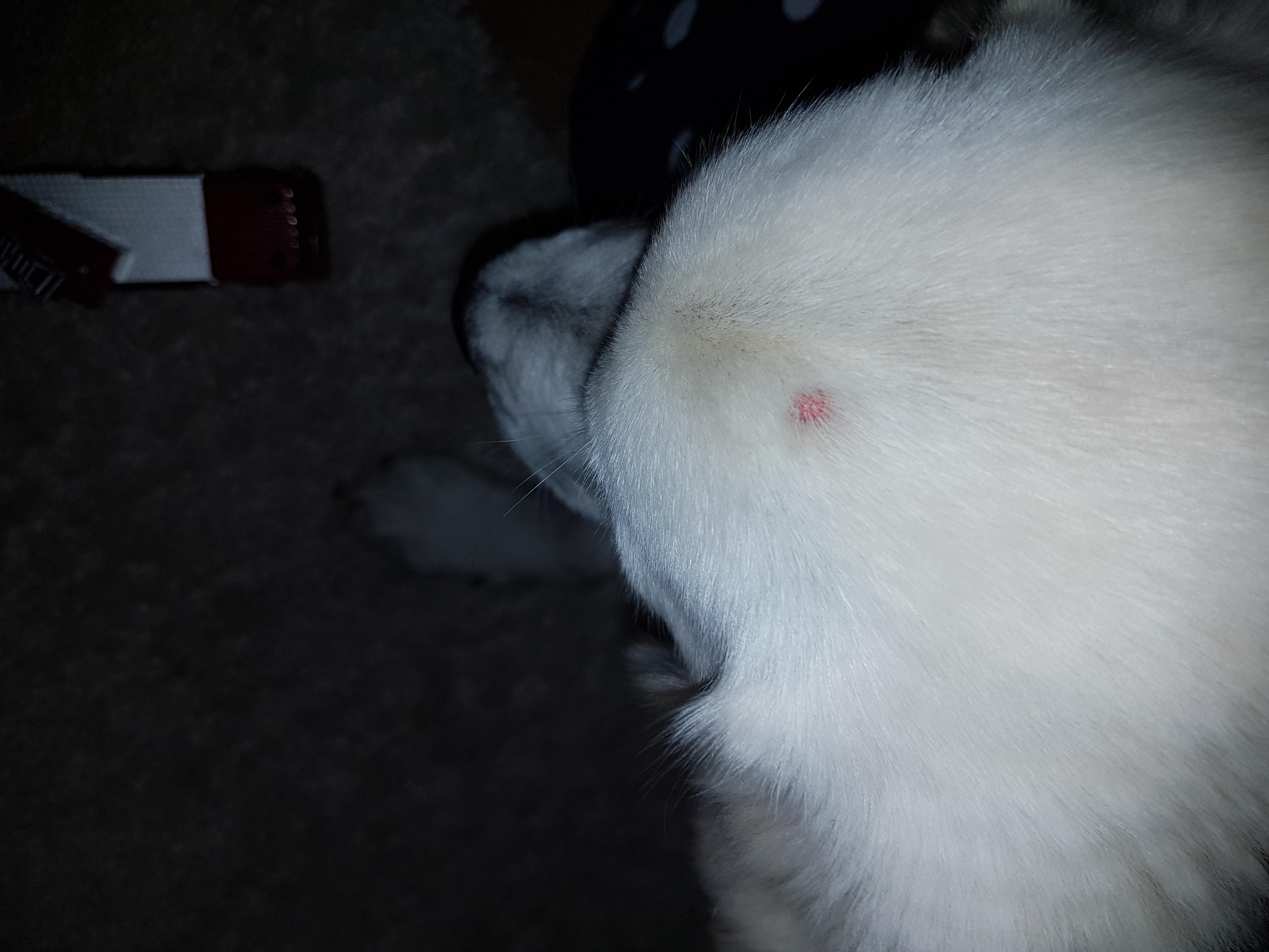 Question details sensitive content