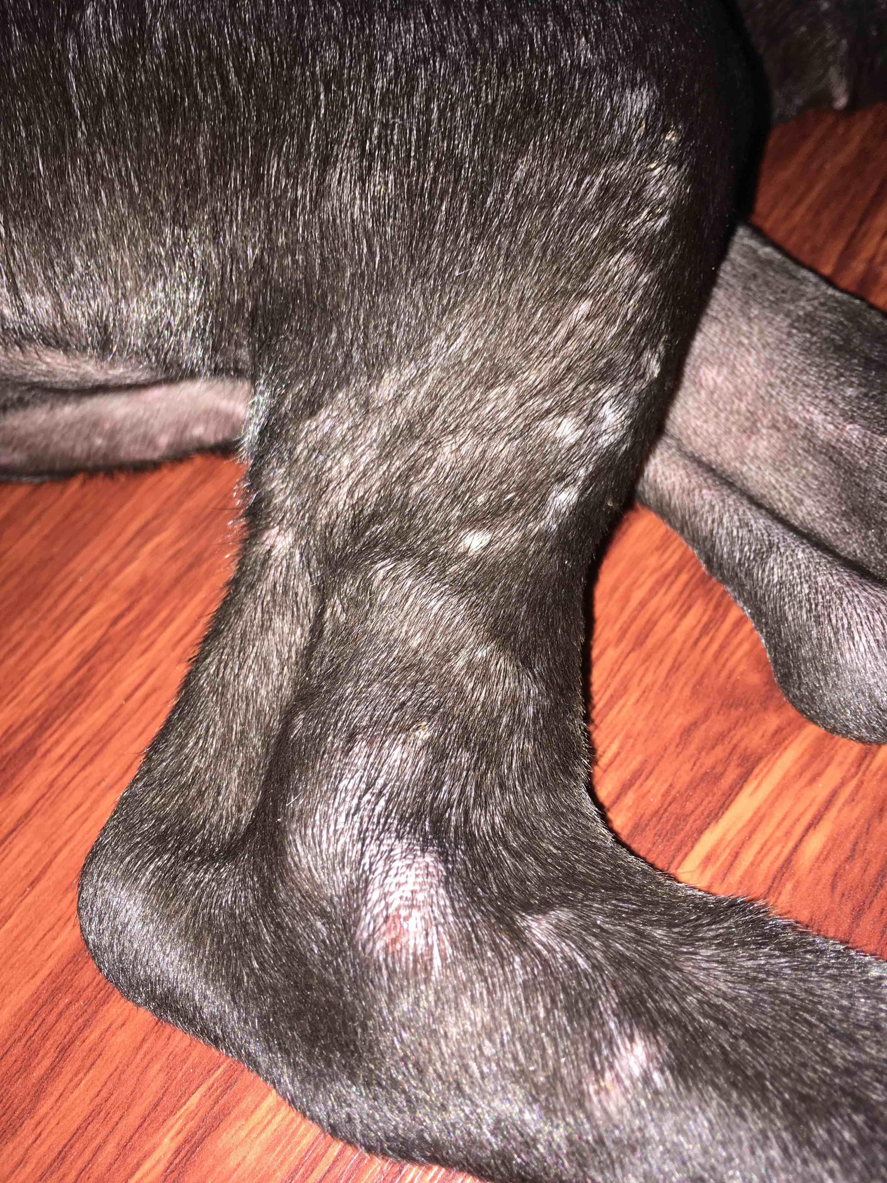 Question details sensitive content