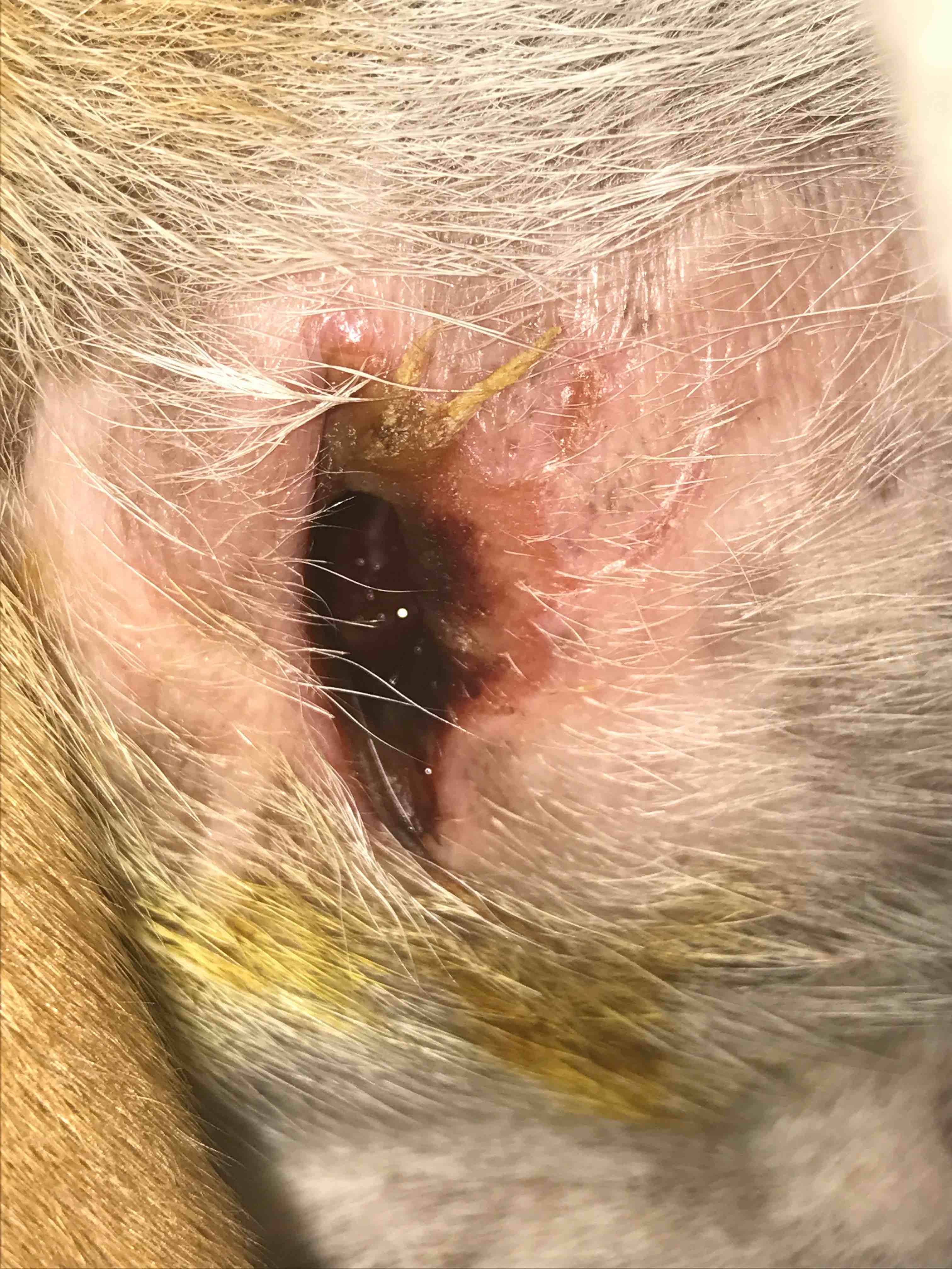 Question details sensitive content