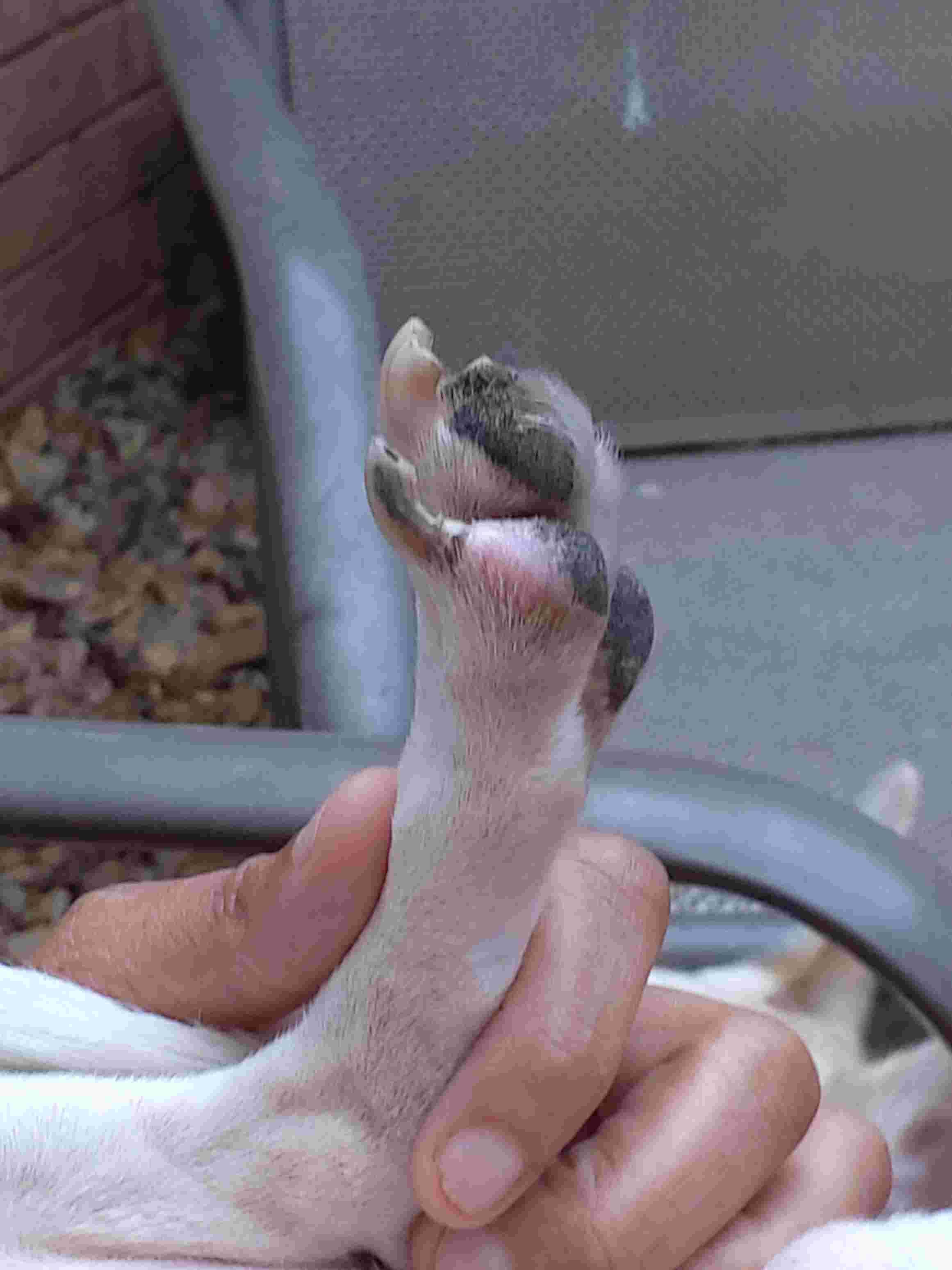 Question details sensitive content