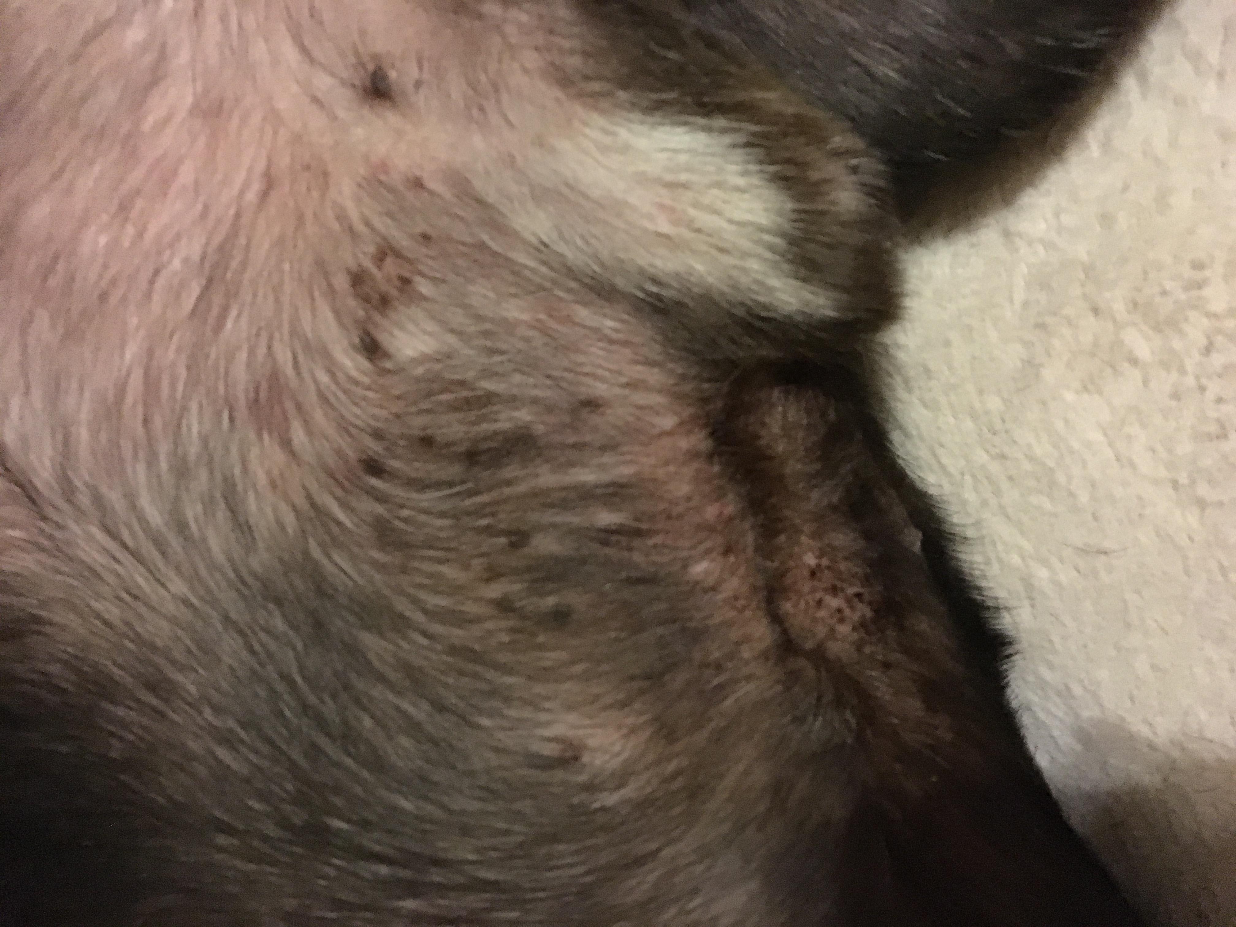 Question details sensitive content