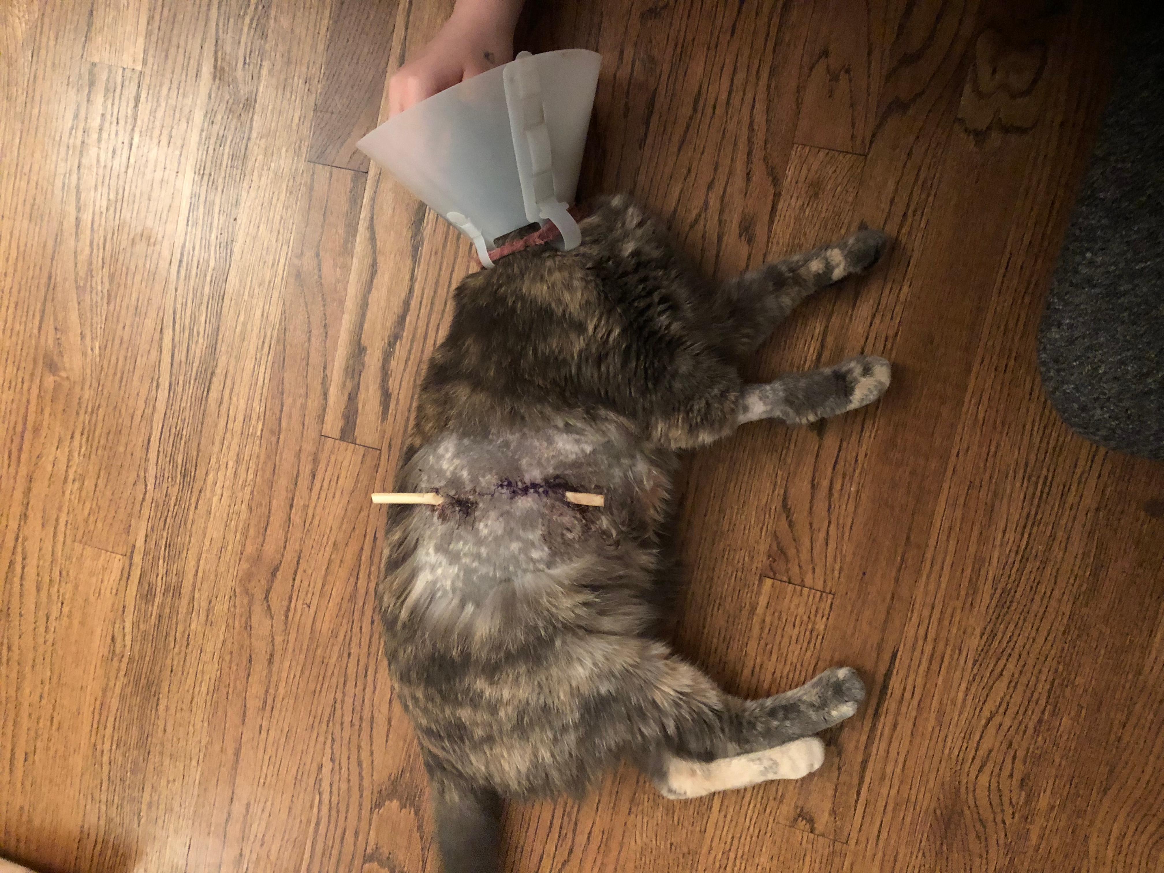 Question details sensitive content