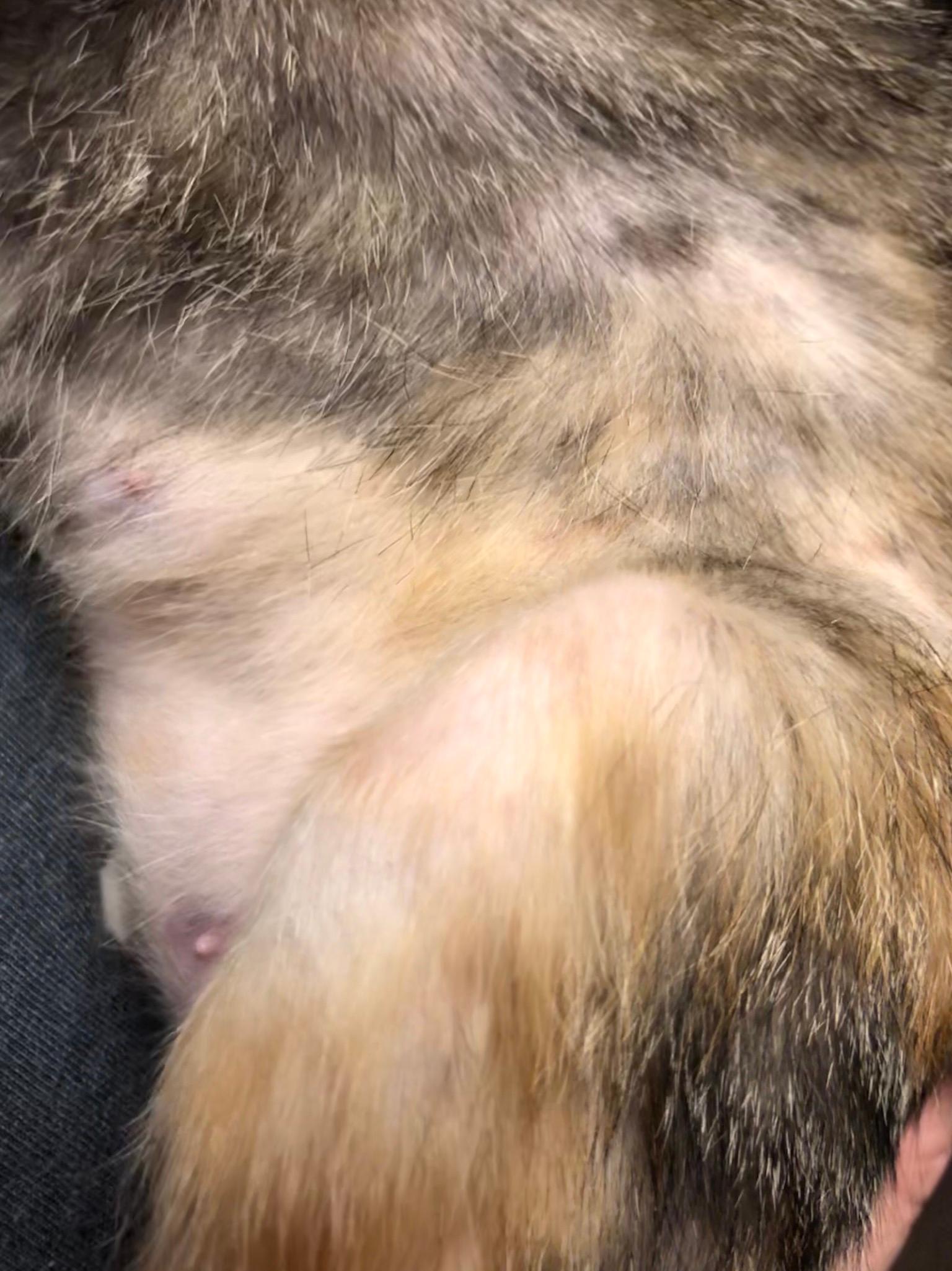 Question details sensitive content