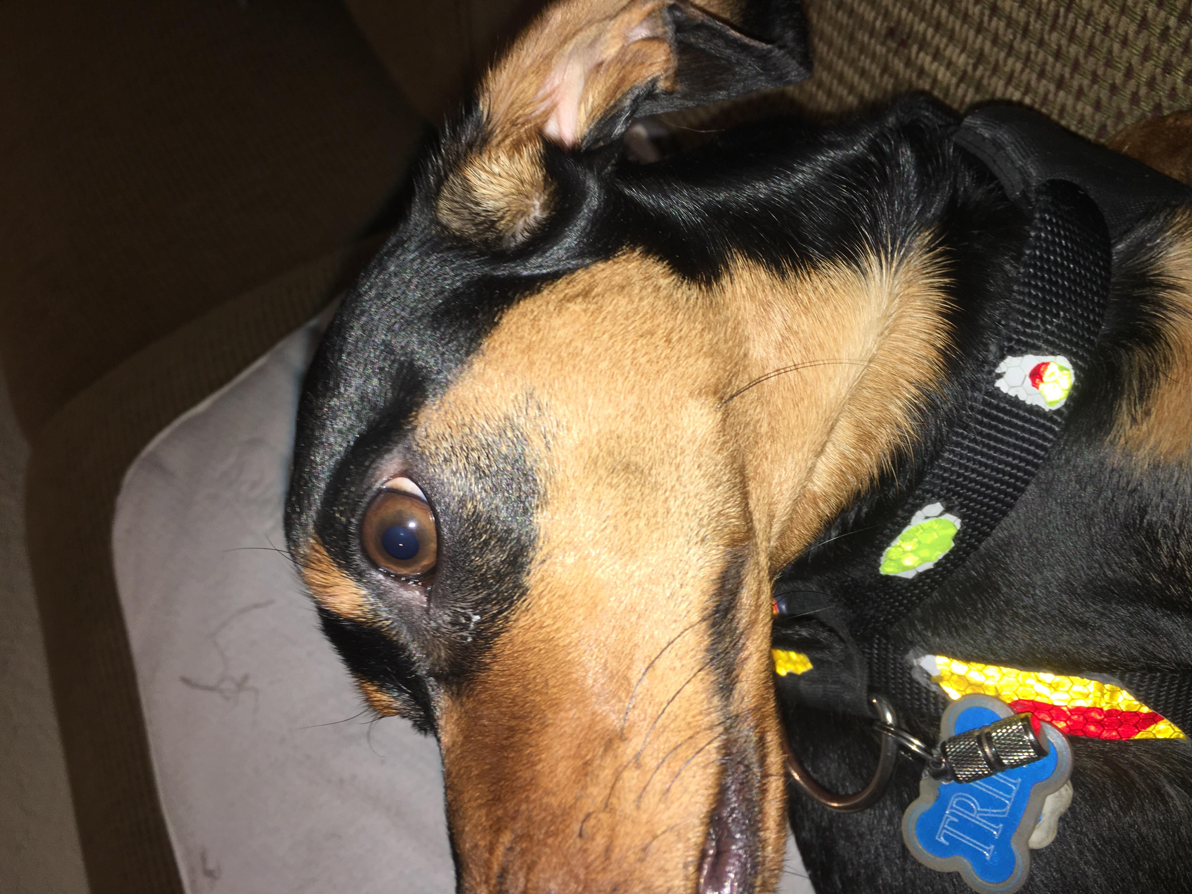 Question details sensitive content