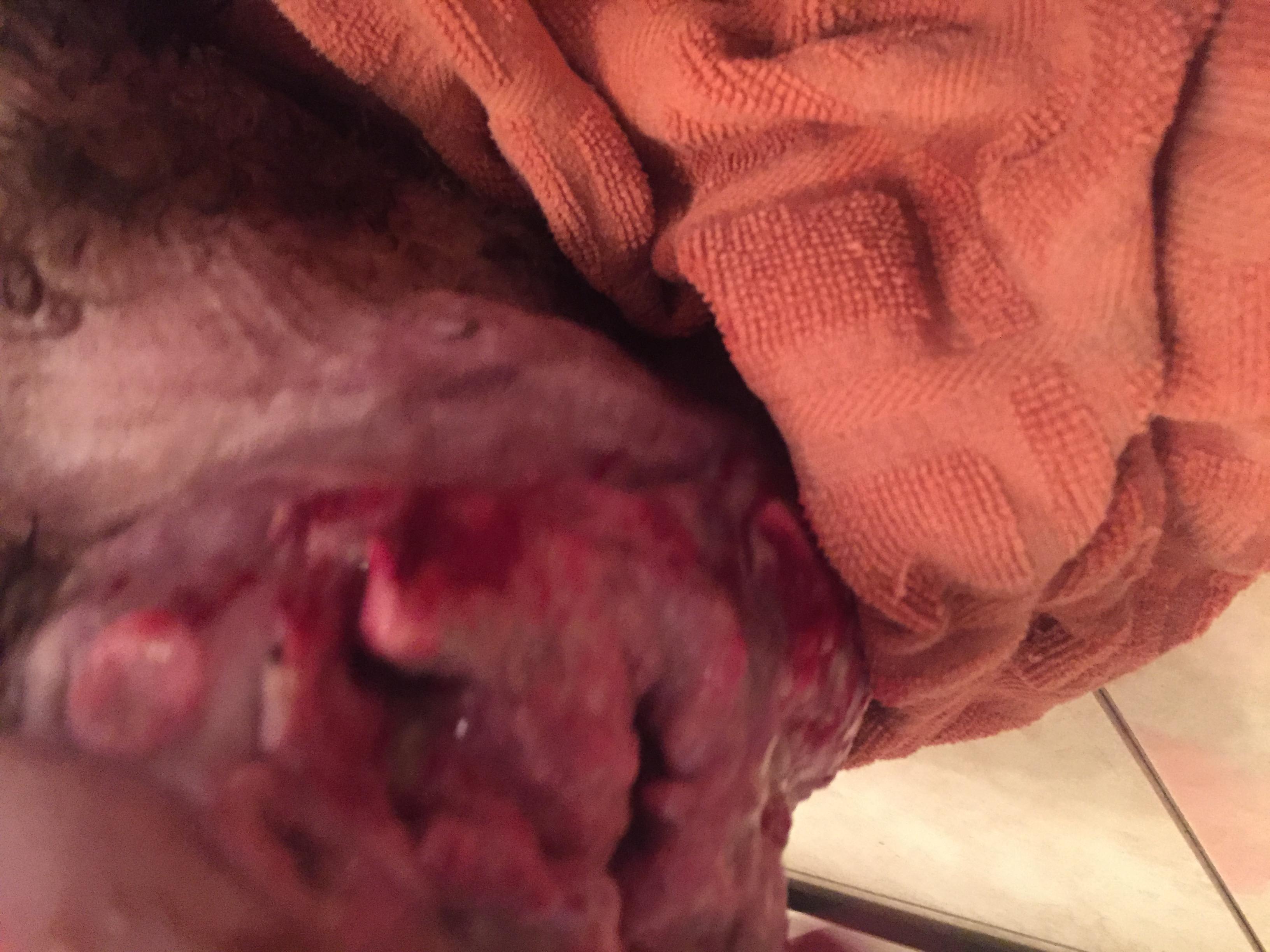 Question details sensitive content