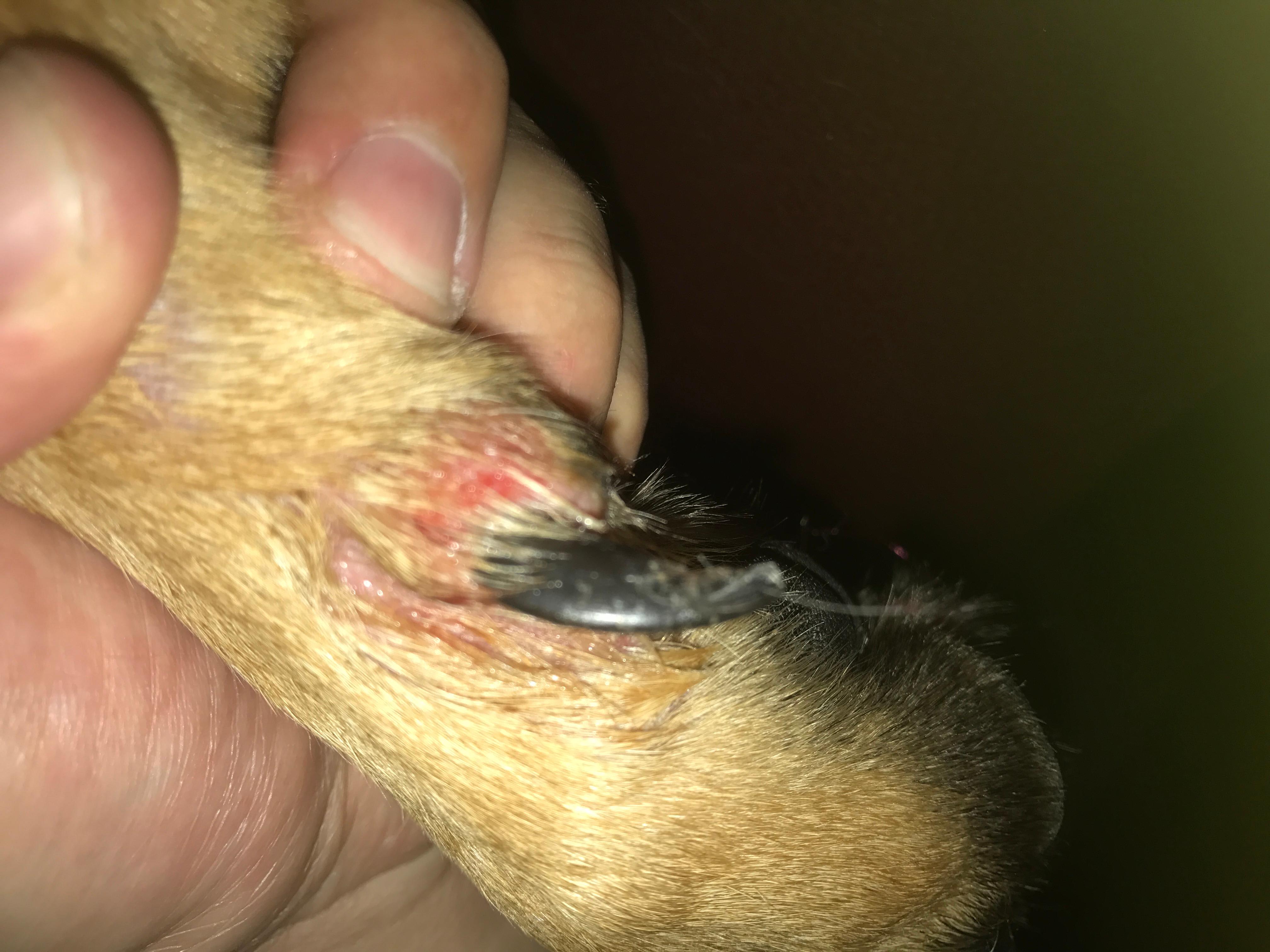 Question details sensitive content