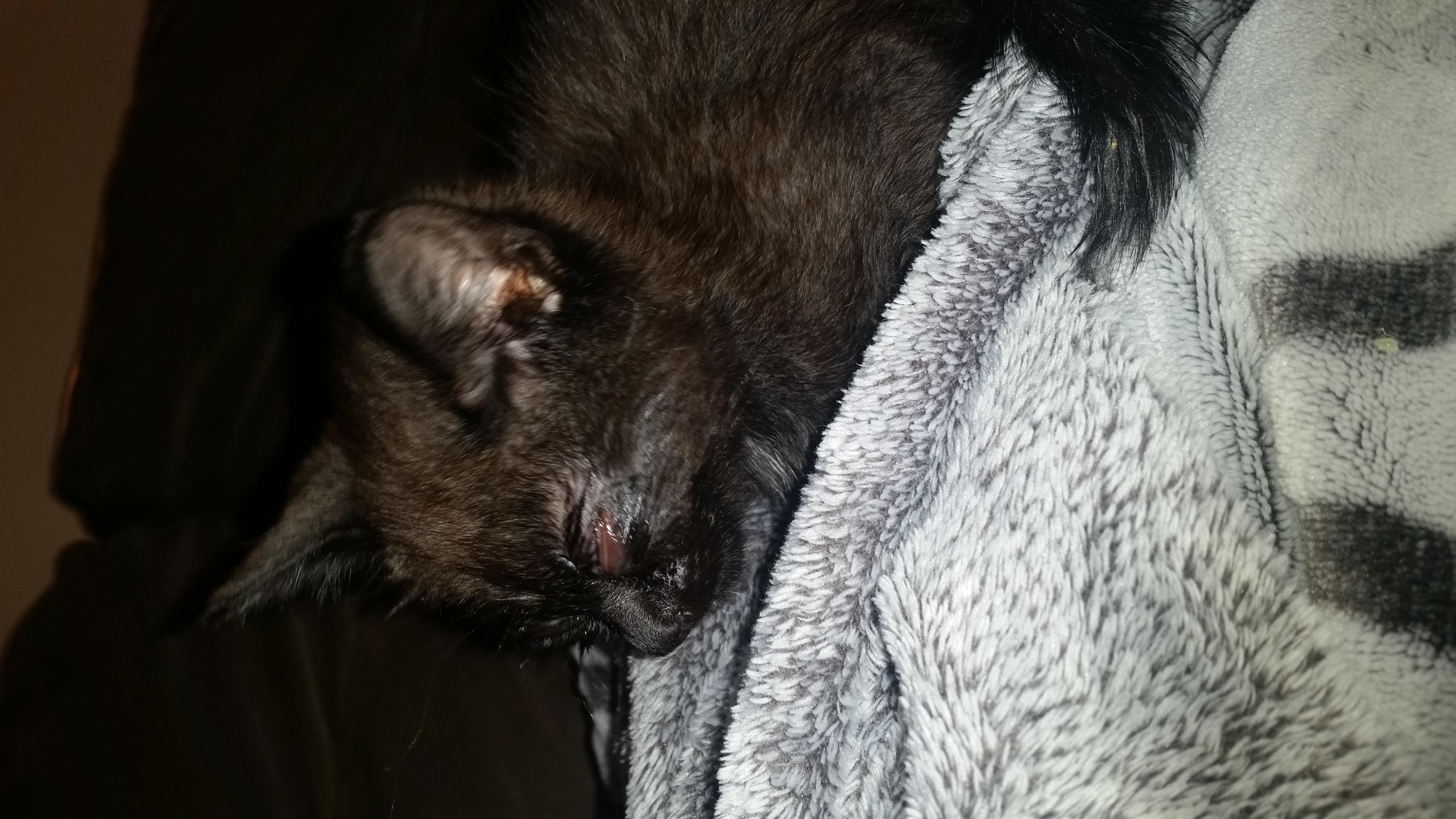 Question details sensitive content