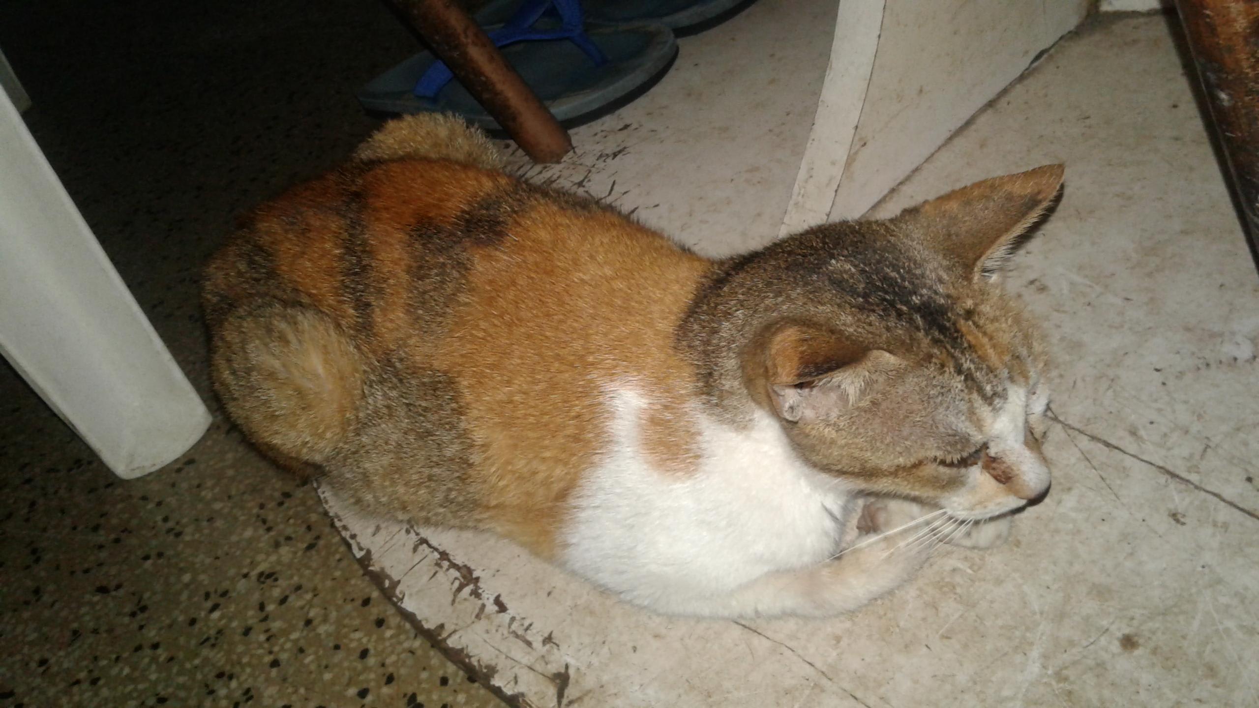 Question details sensitive content